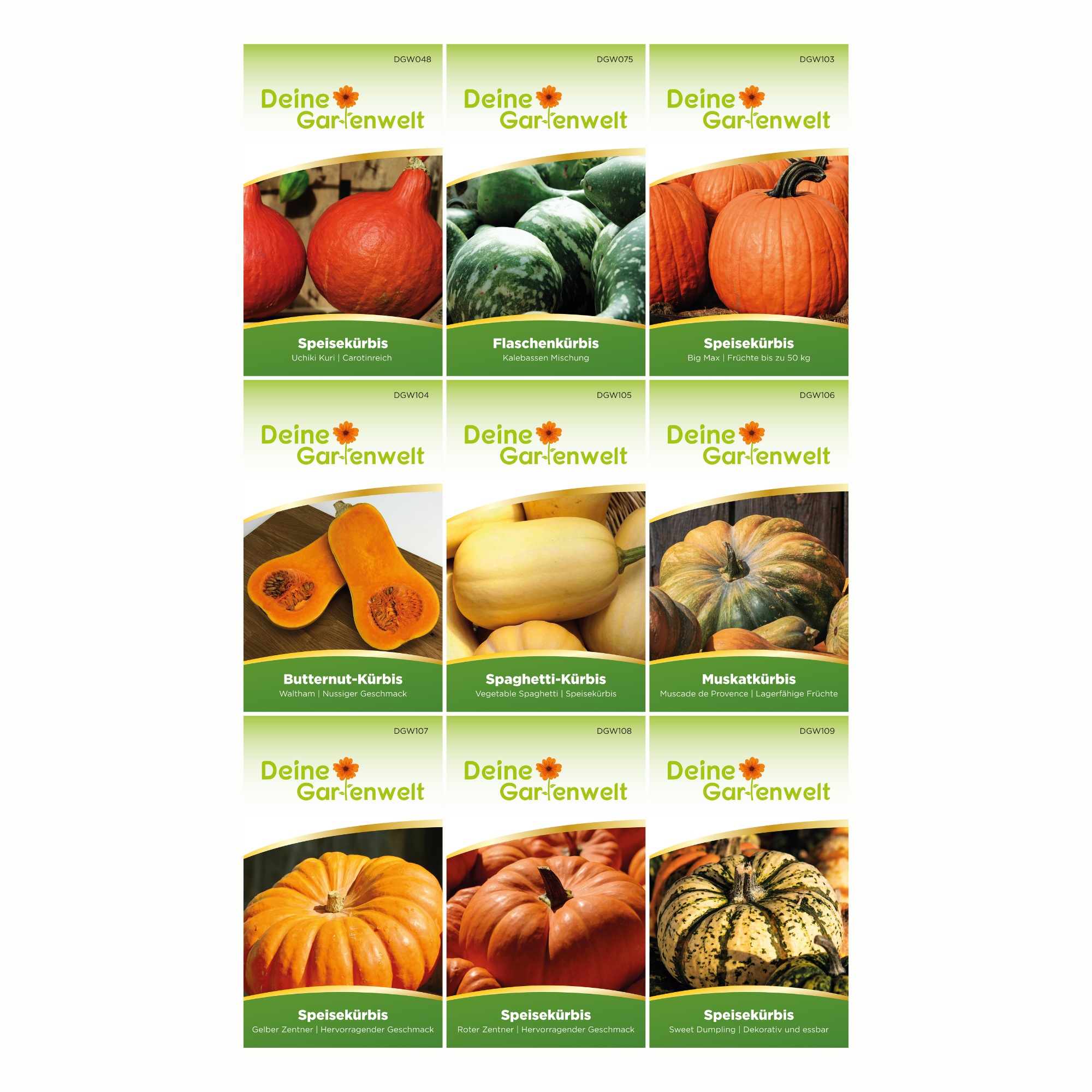 Kürbissamen-Set mit  9 Sorten