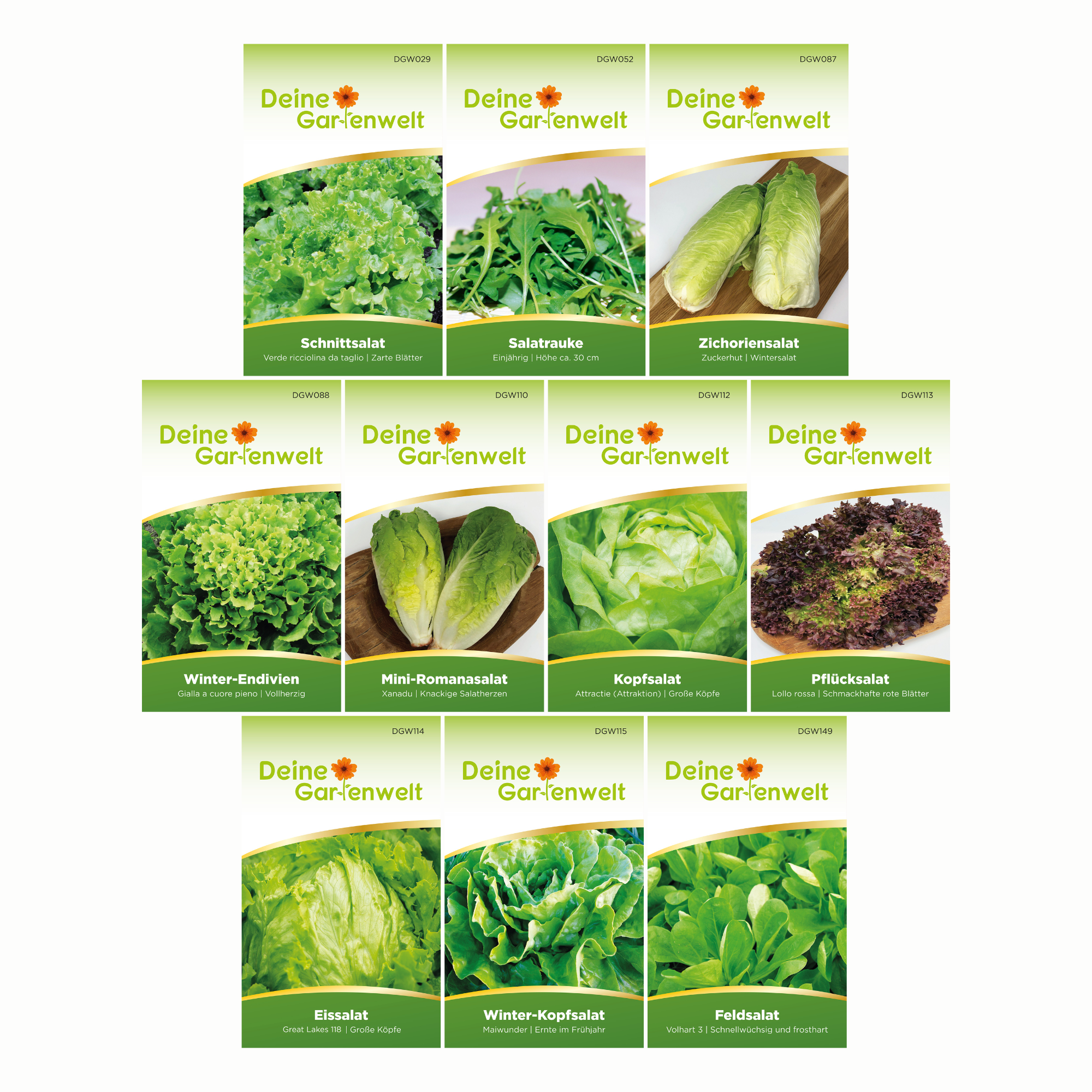 Salatsamen-Set mit 10 Sorten