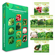 Wintergemüsesamen-Set mit 10 Sorten