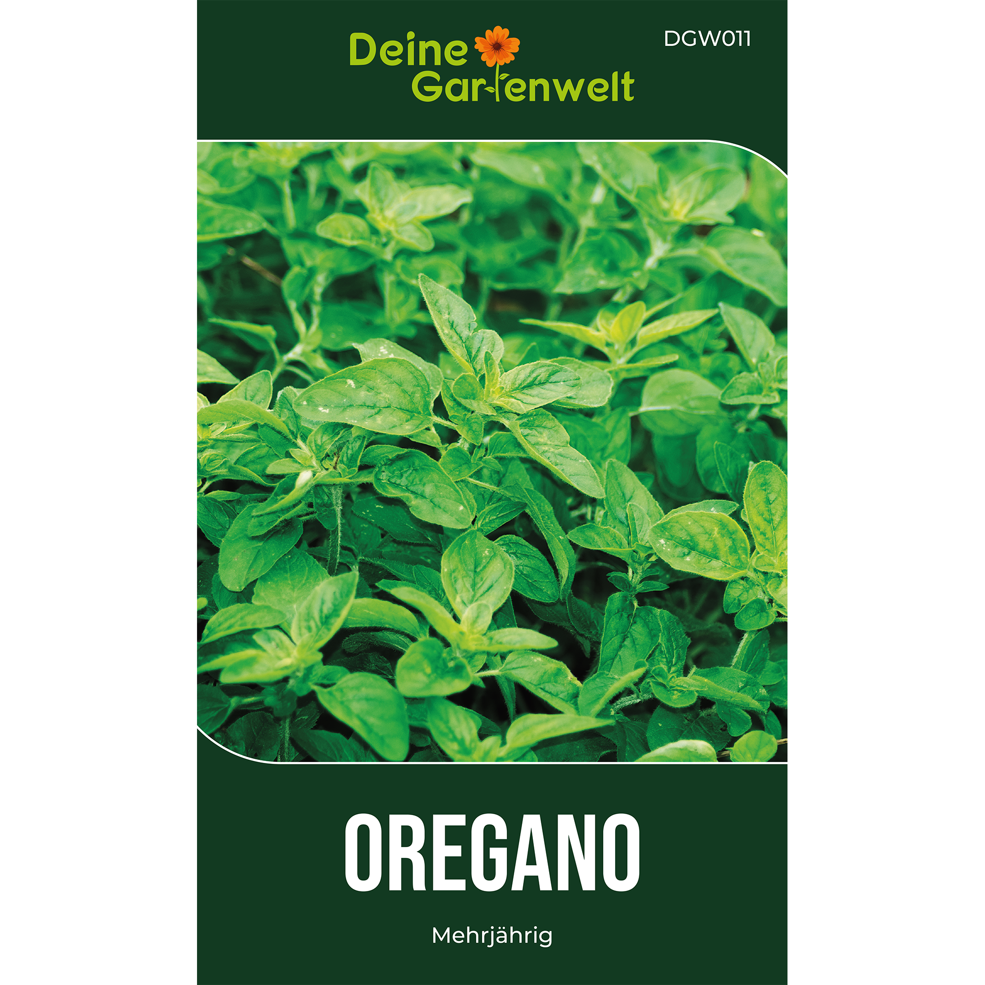 Oregano