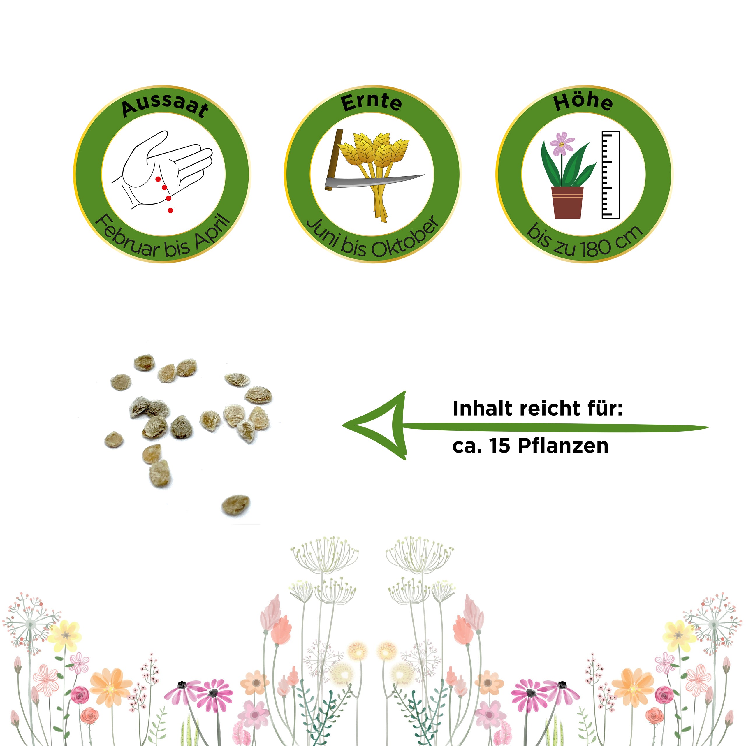 Fleischtomate Oxheart (Ochsenherz)