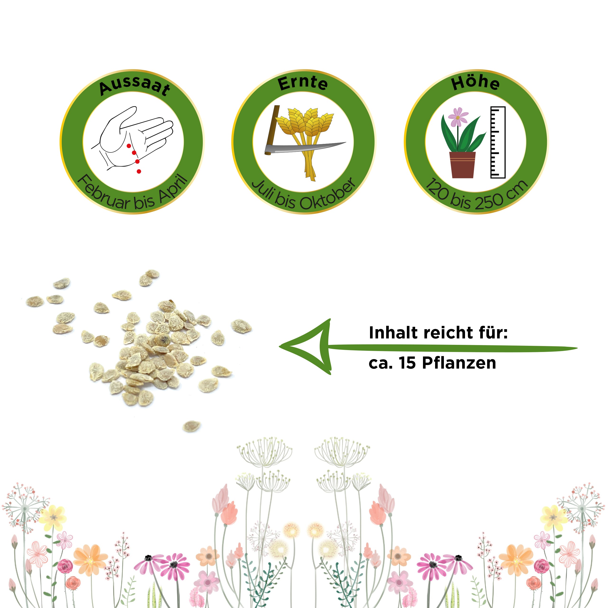 Fleischtomate Marmande