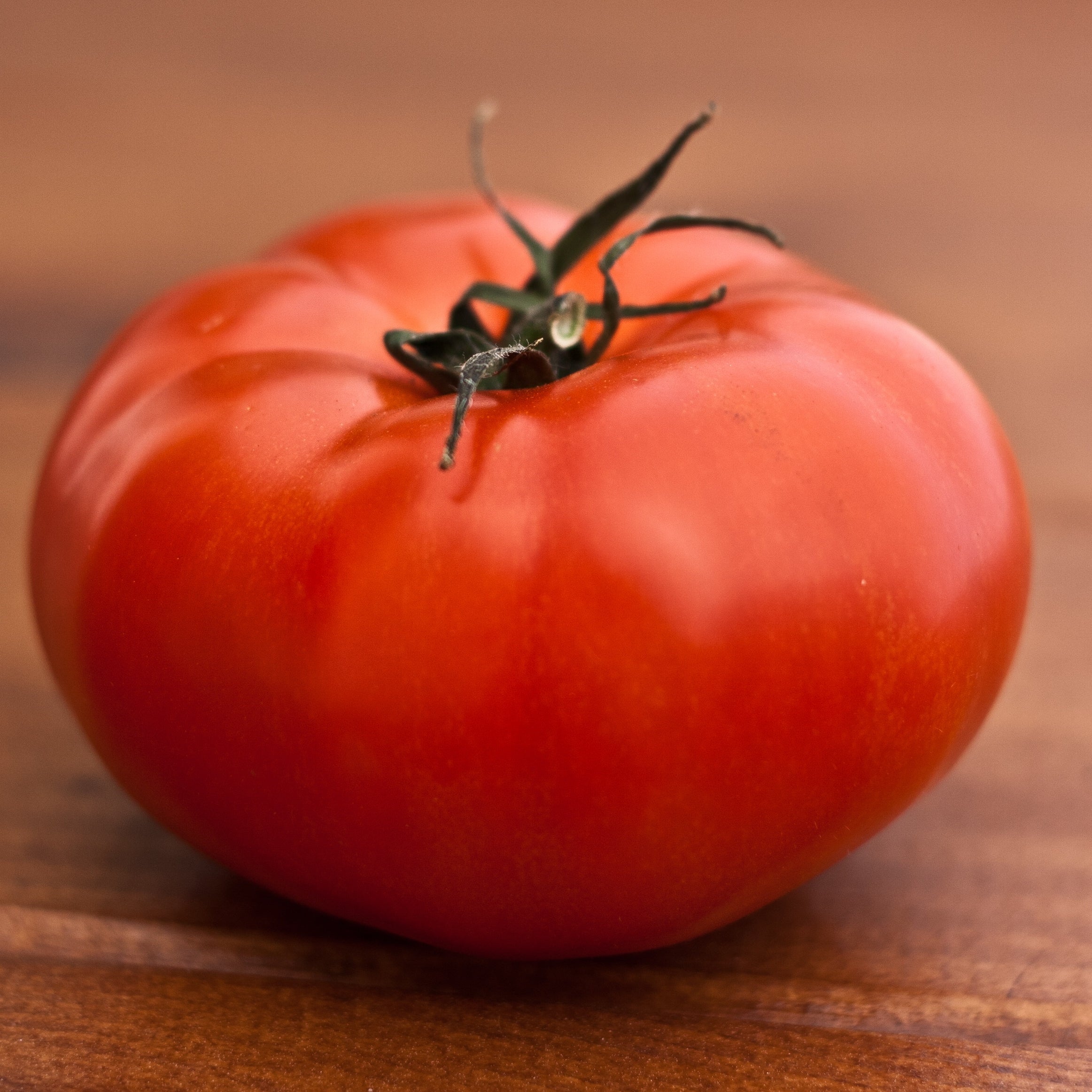 Fleischtomate Marmande