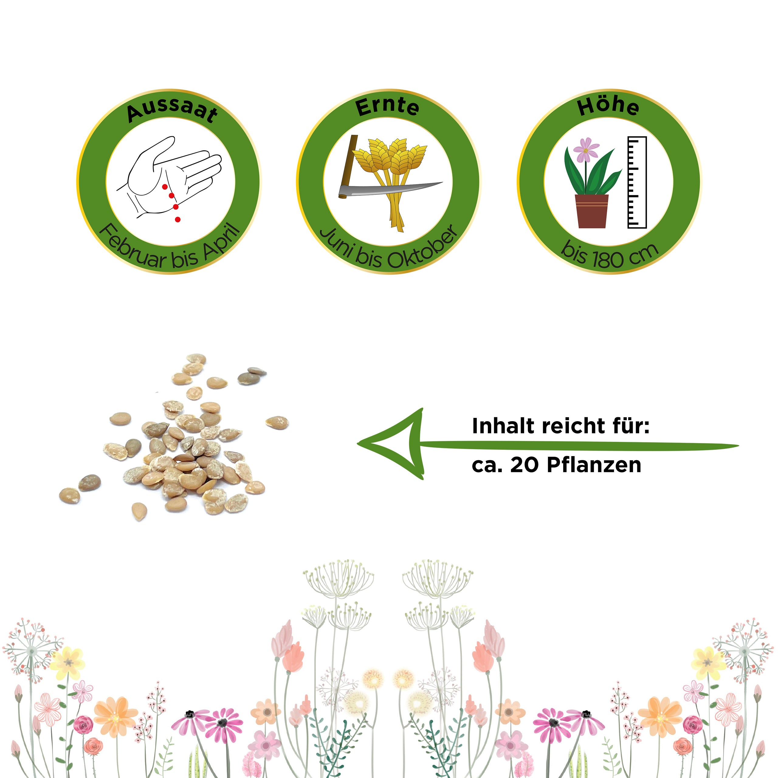 Stabtomate Goldene Königin