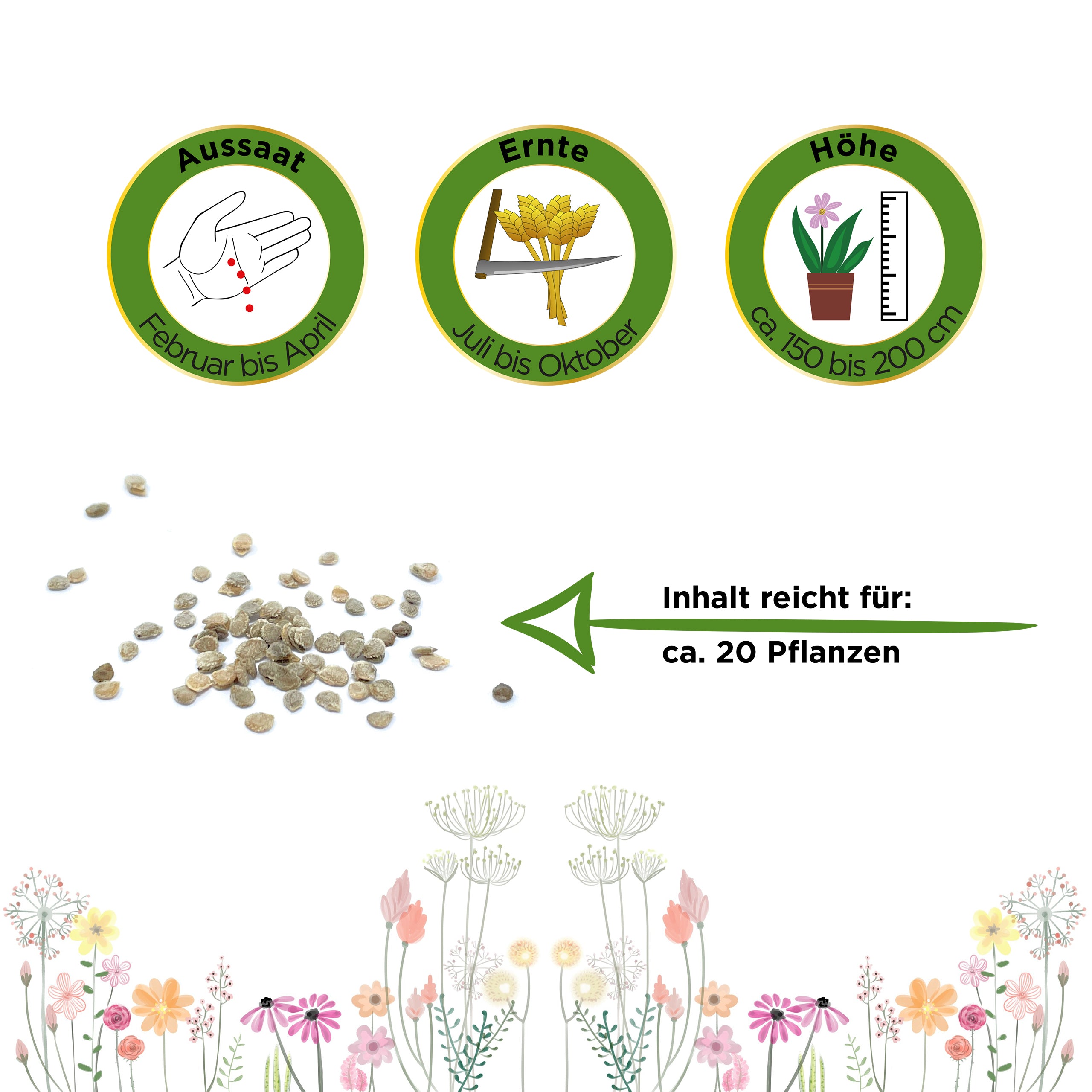 Flaschentomate San Marzano 2