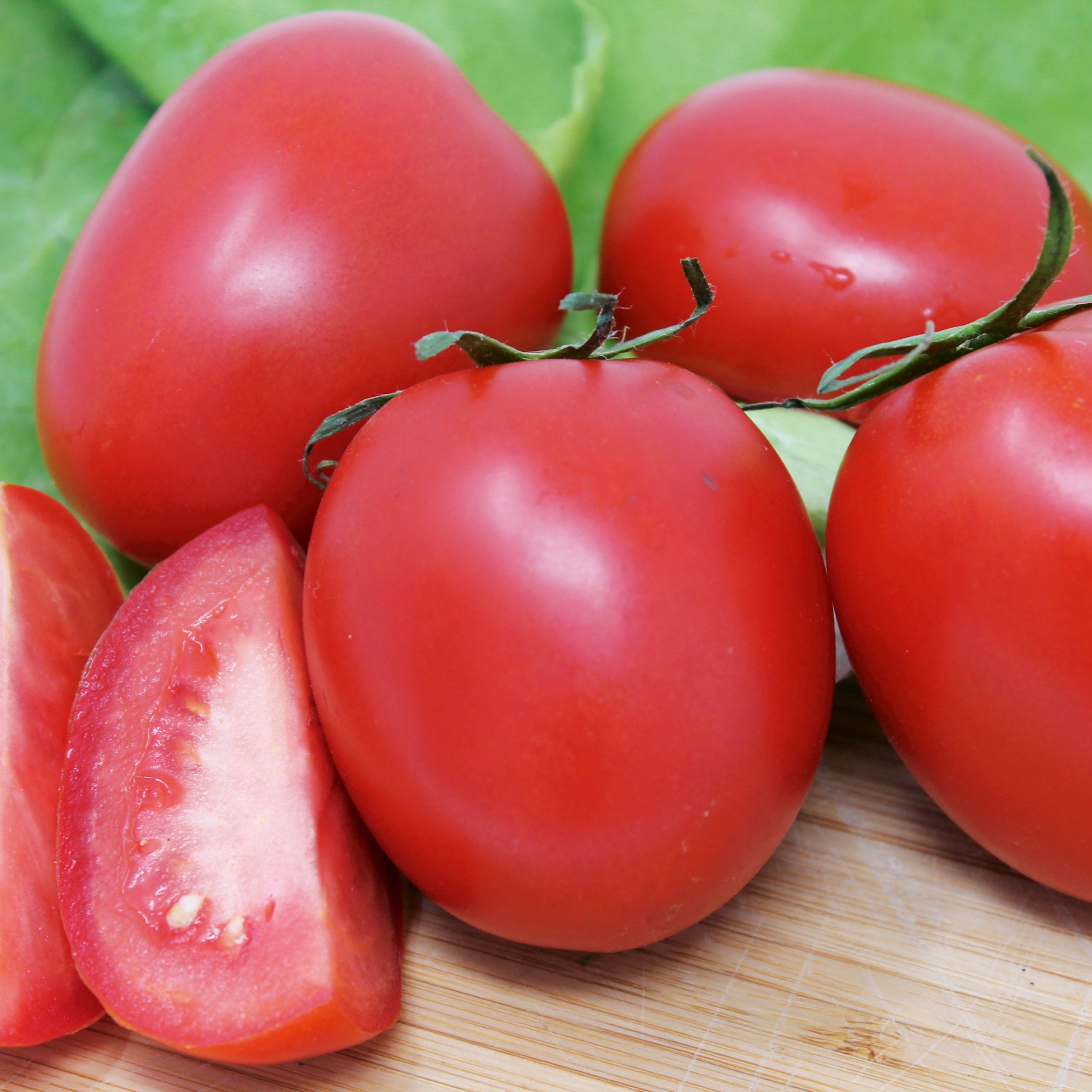 Buschtomate Roma VF