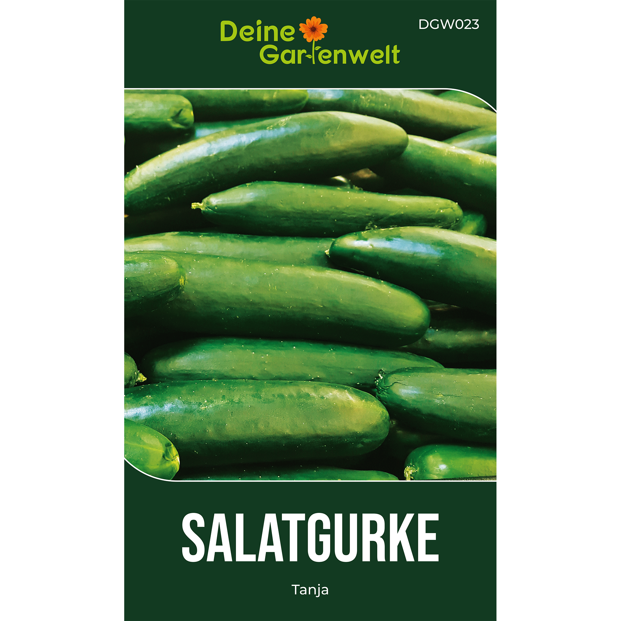 Salatgurke Tanja