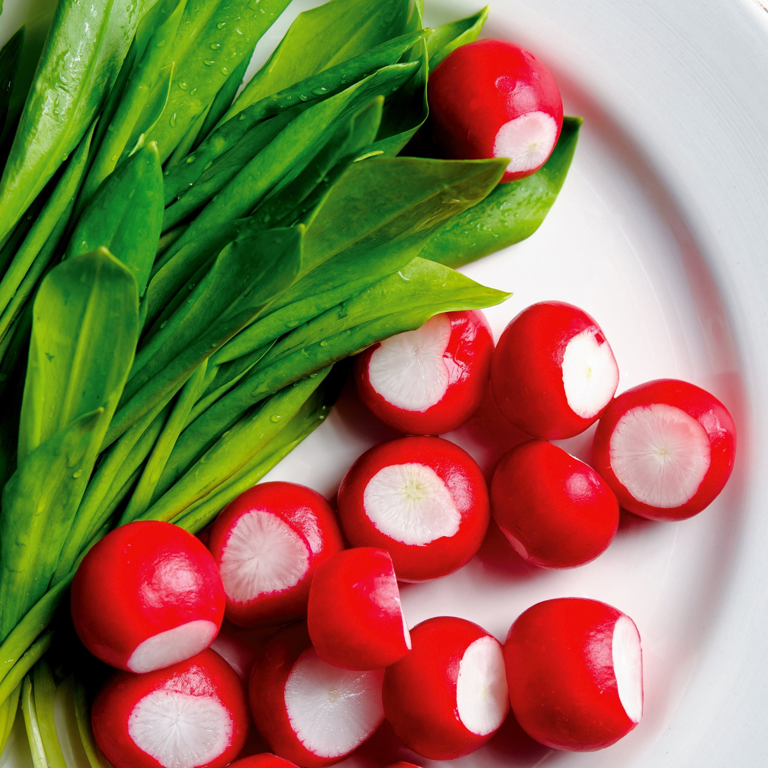 Radieschen Riesenbutter