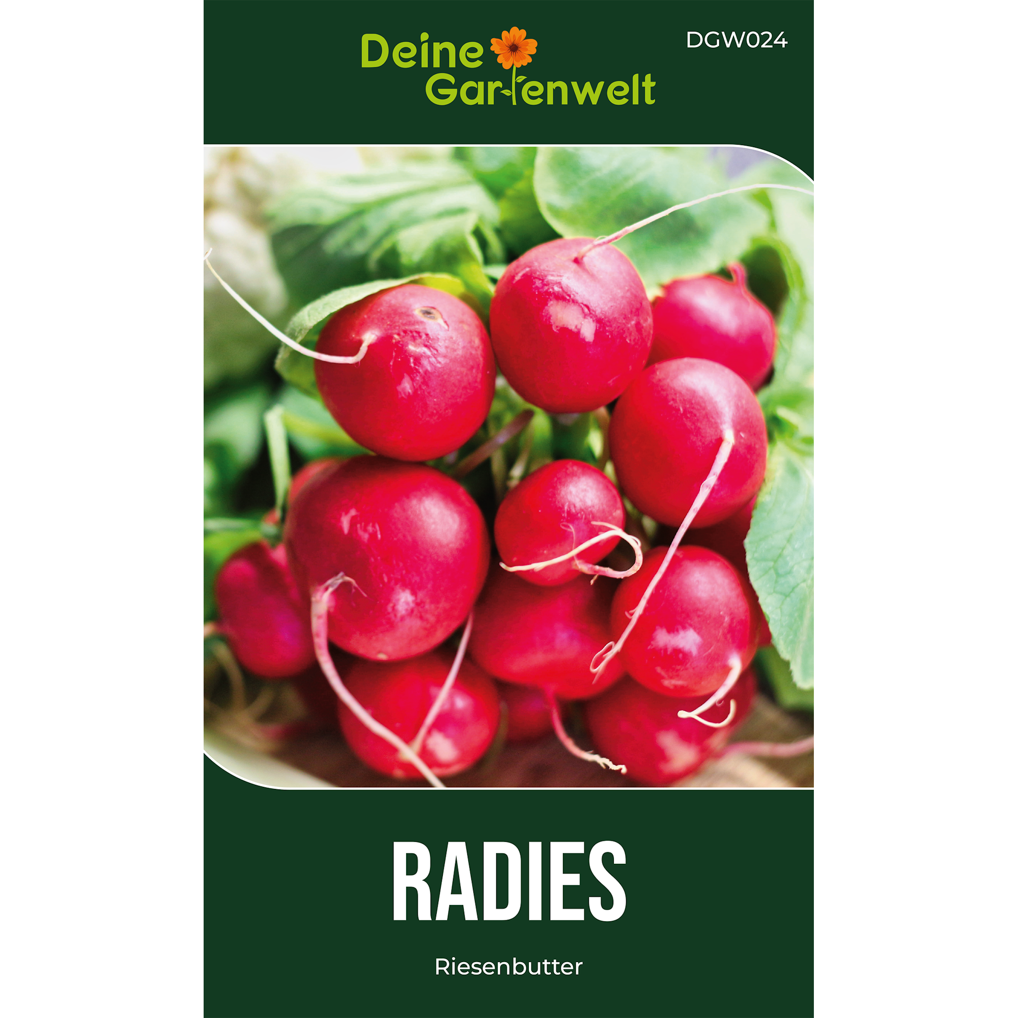 Radieschen Riesenbutter