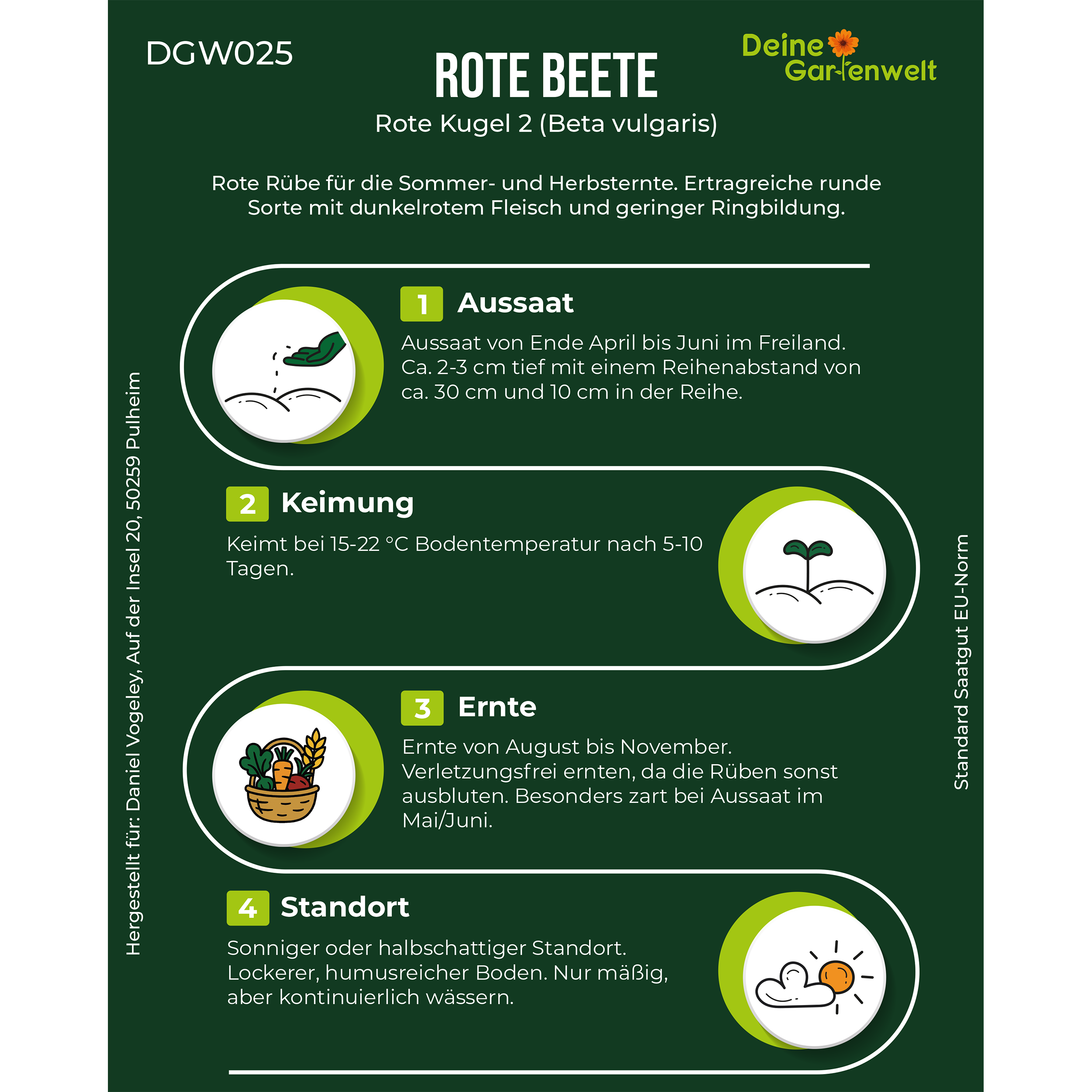 Rote Beete Rote Kugel 2