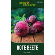 Rote Beete Rote Kugel 2