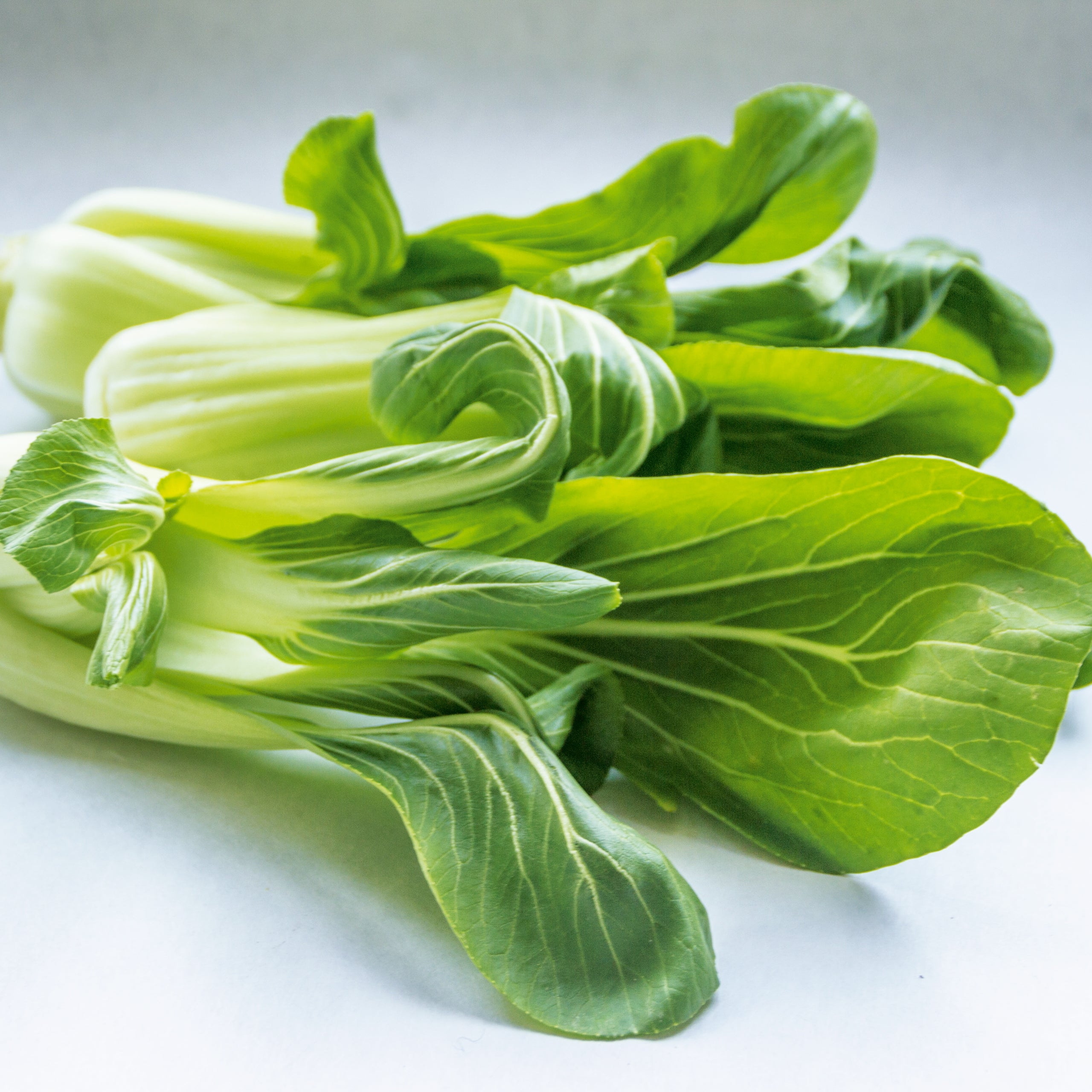 Pak Choi