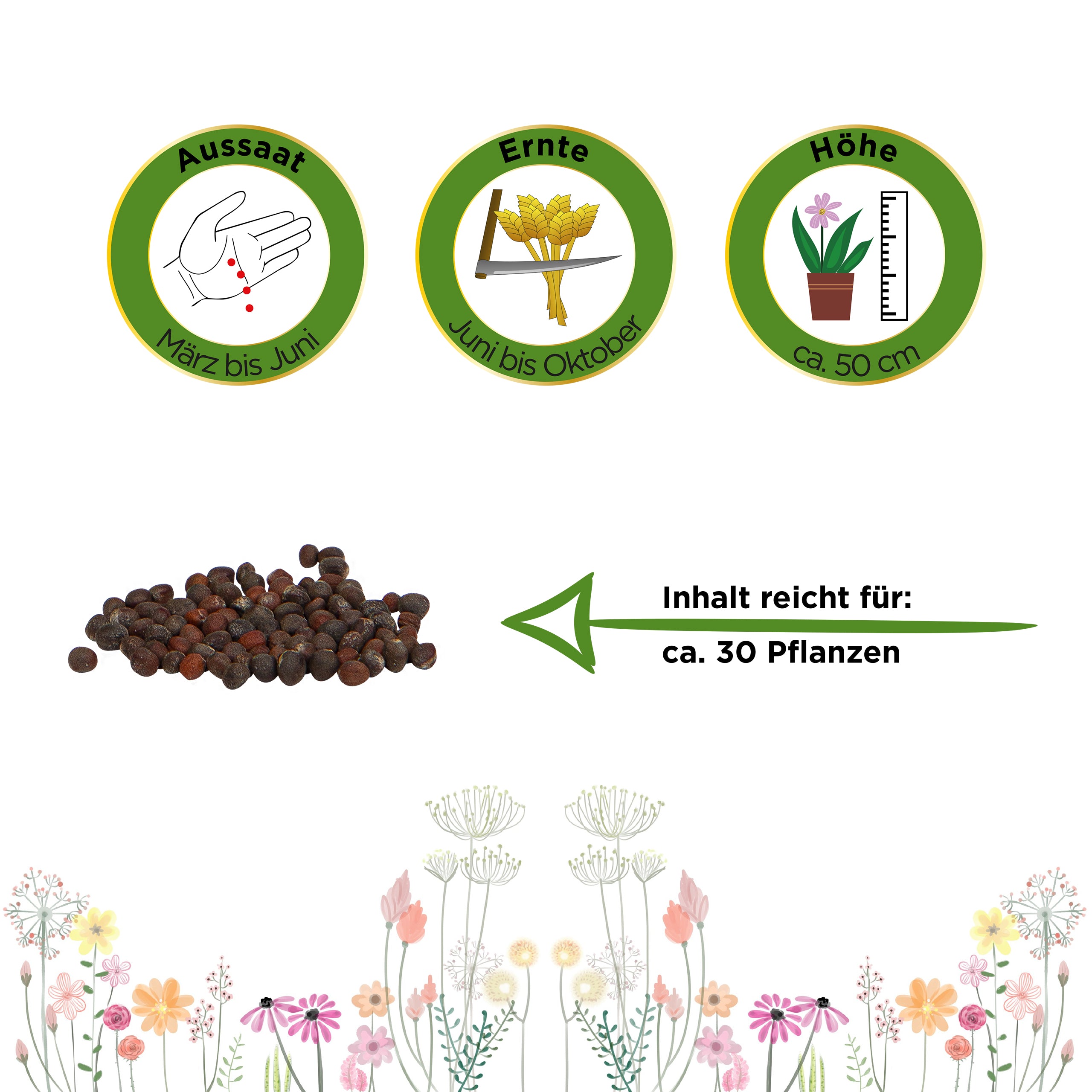 Brokkoli Ramoso Calabrese