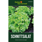 Schnittsalat Verde ricciolina da taglio
