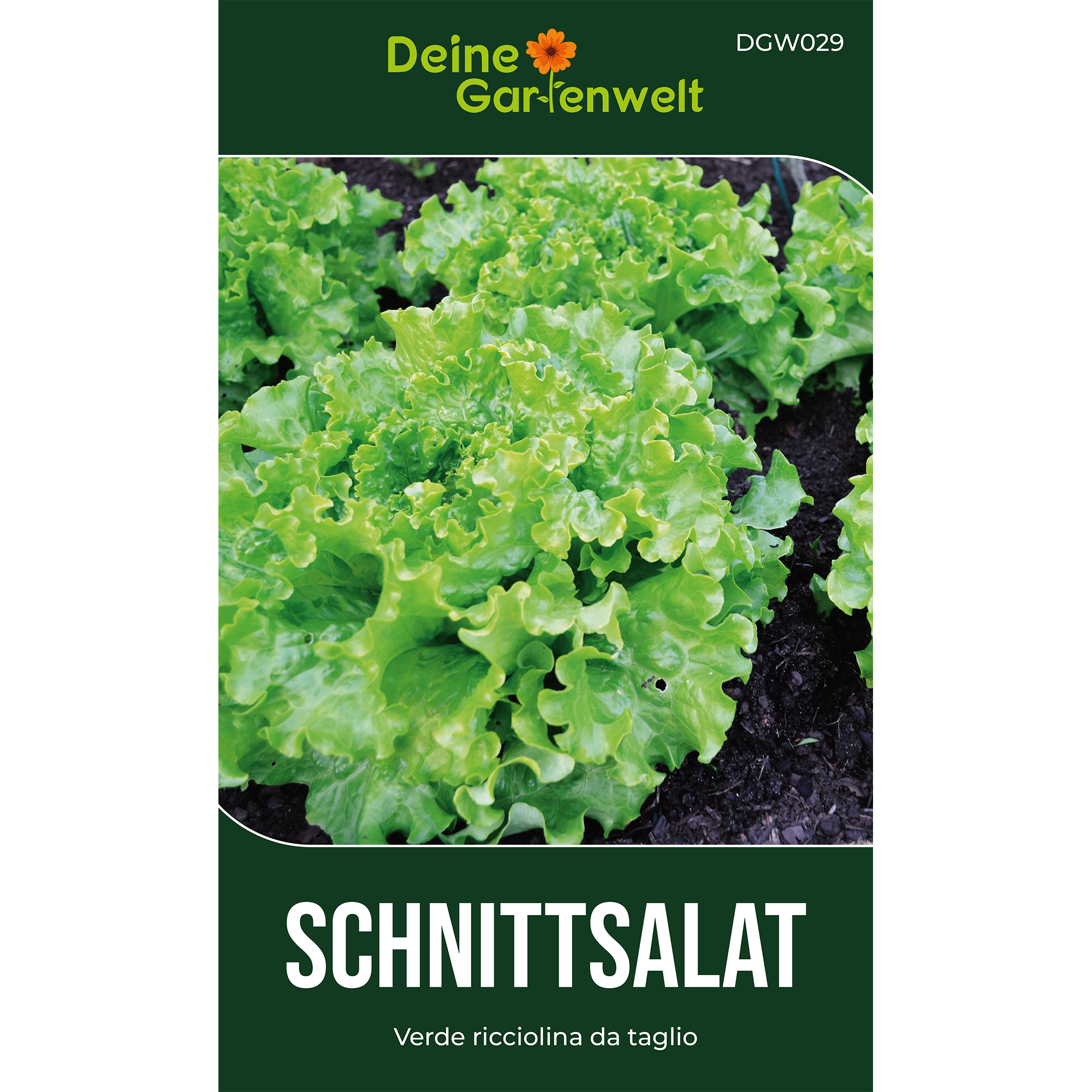 Schnittsalat Verde ricciolina da taglio