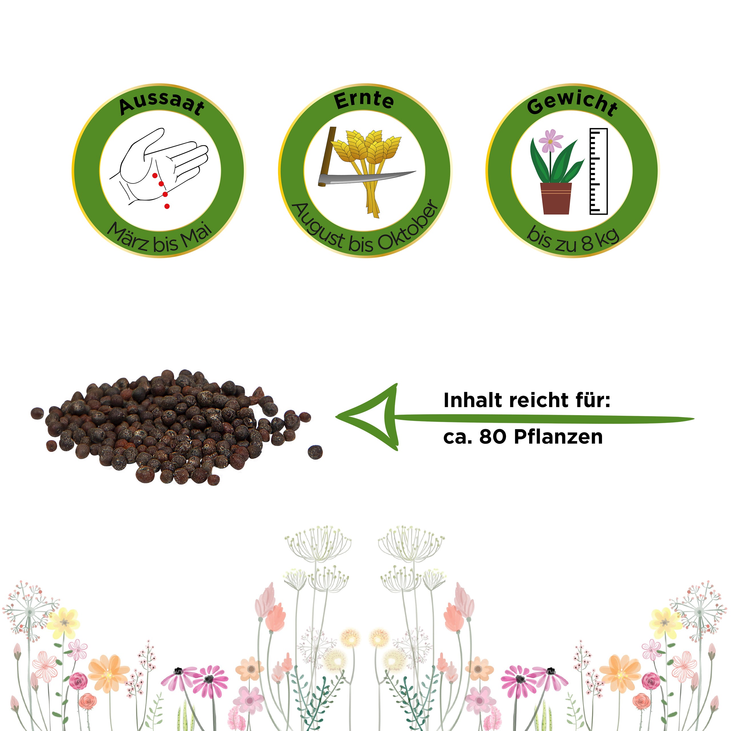 Kohlrabi Superschmelz