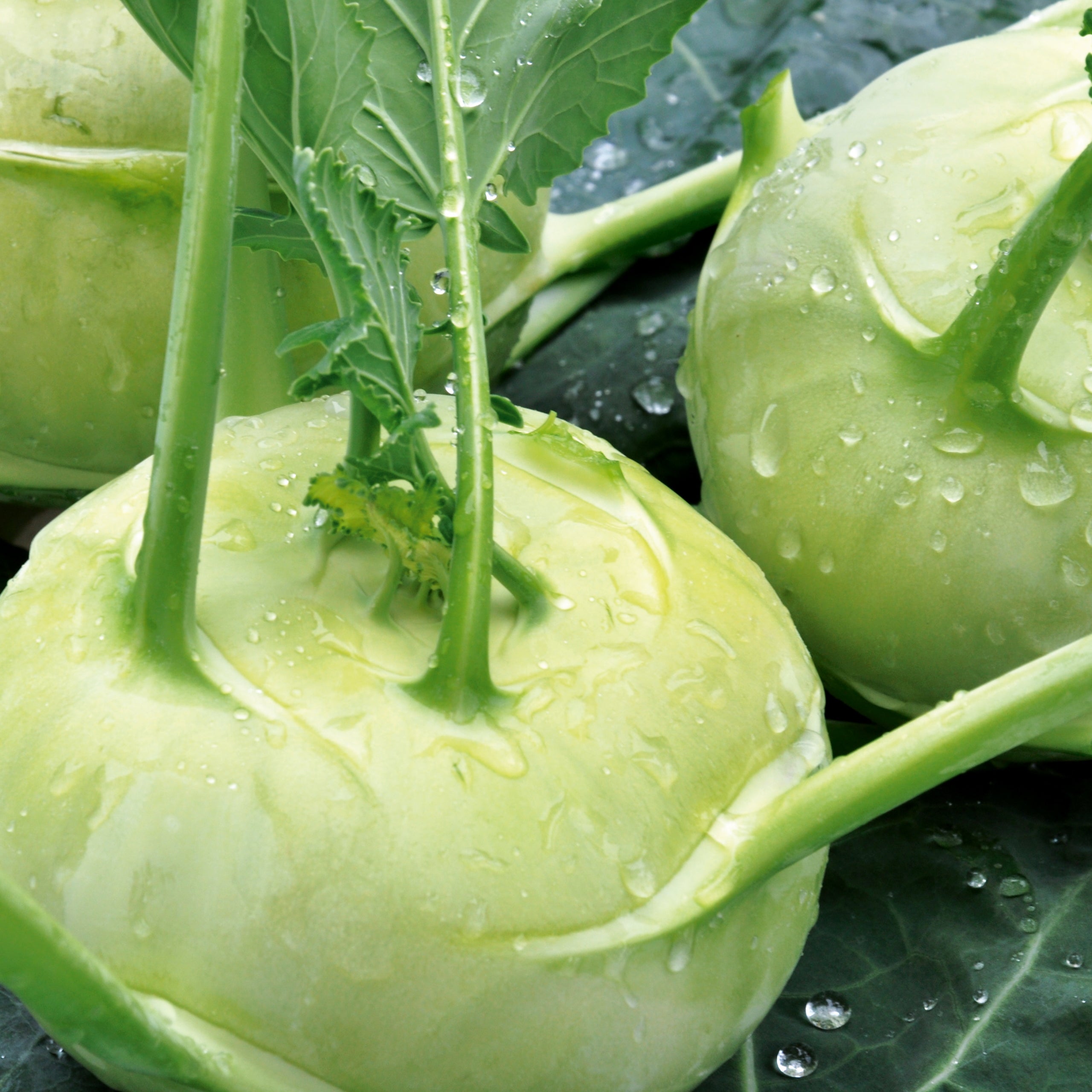 Kohlrabi Superschmelz