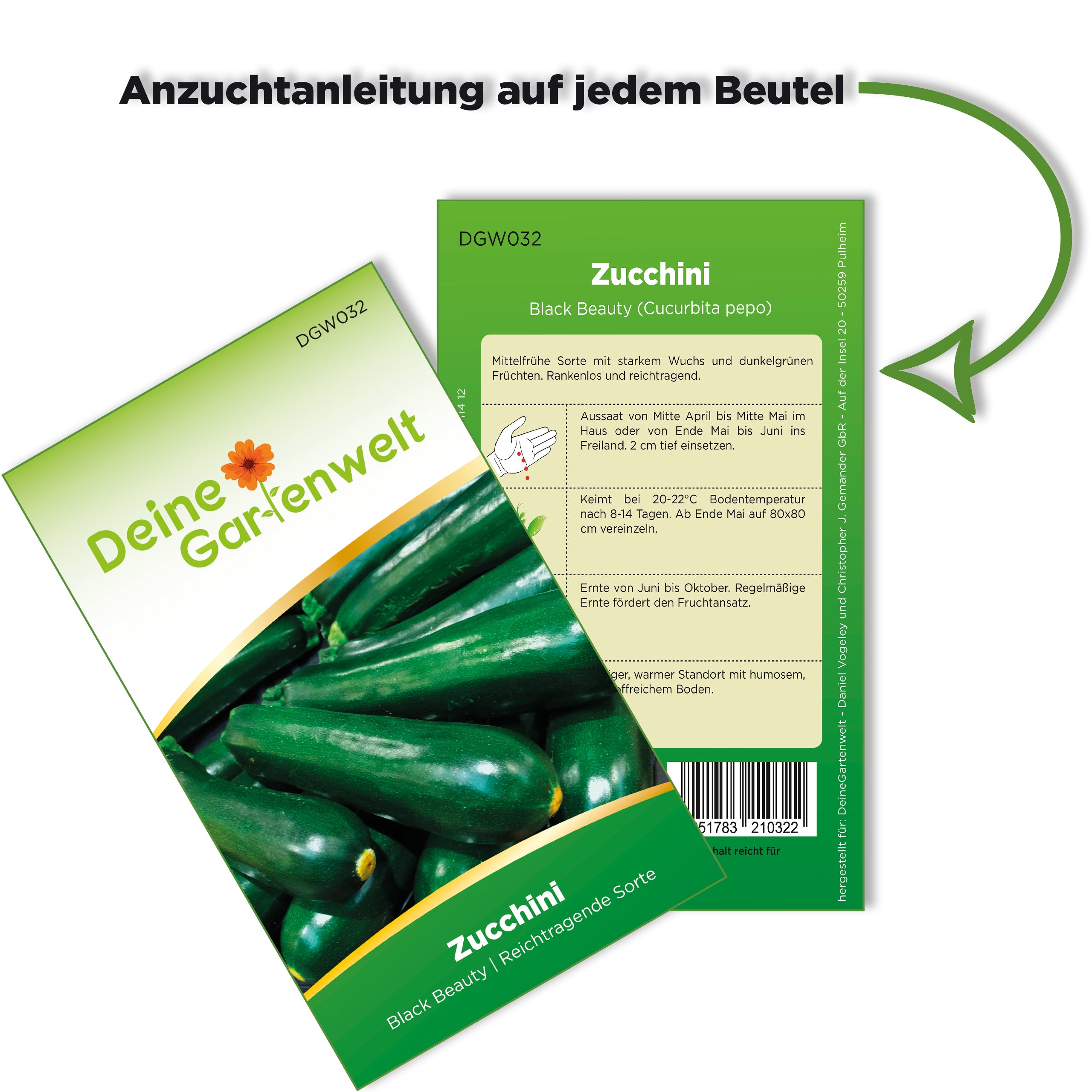 Zucchini Black Beauty