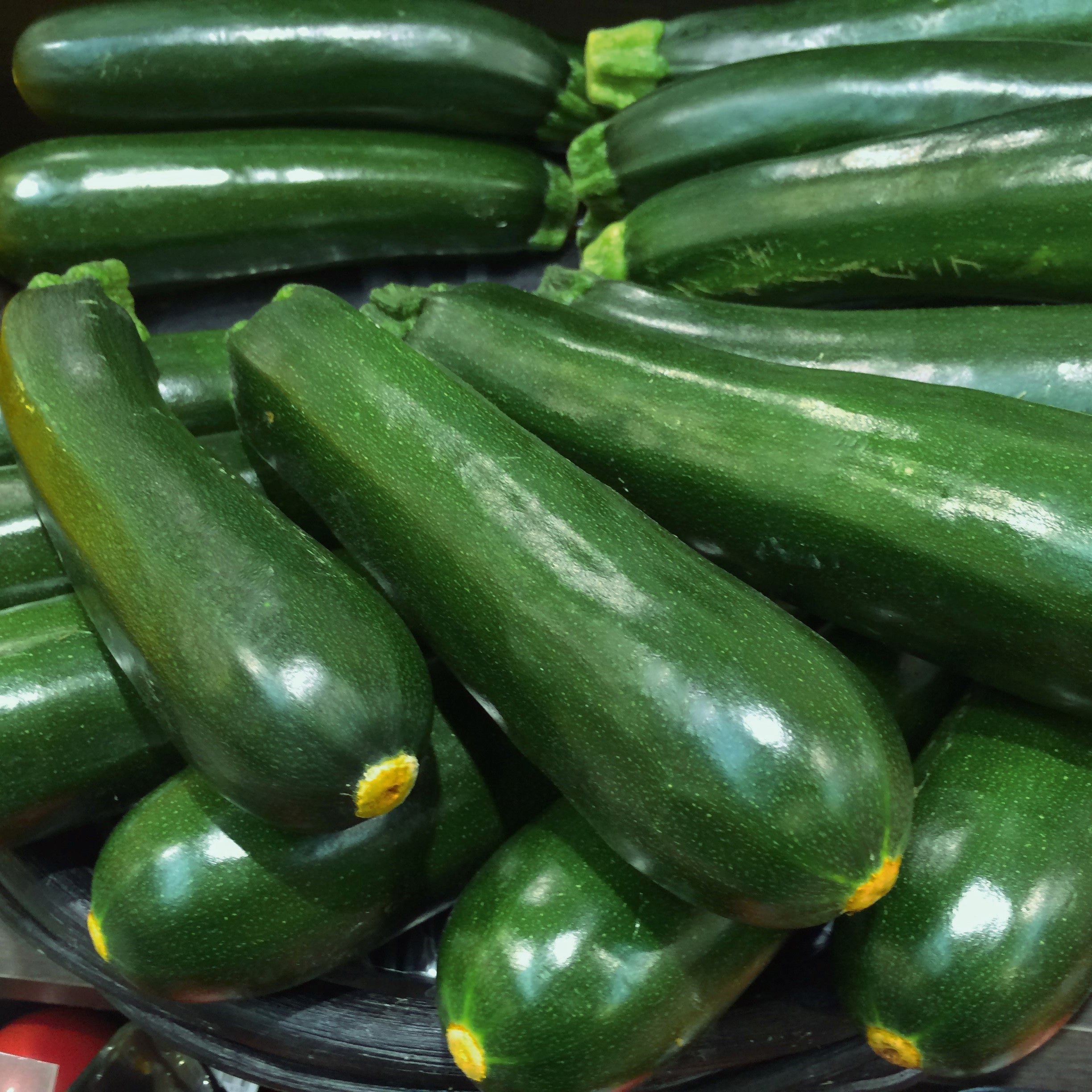 Zucchini Black Beauty