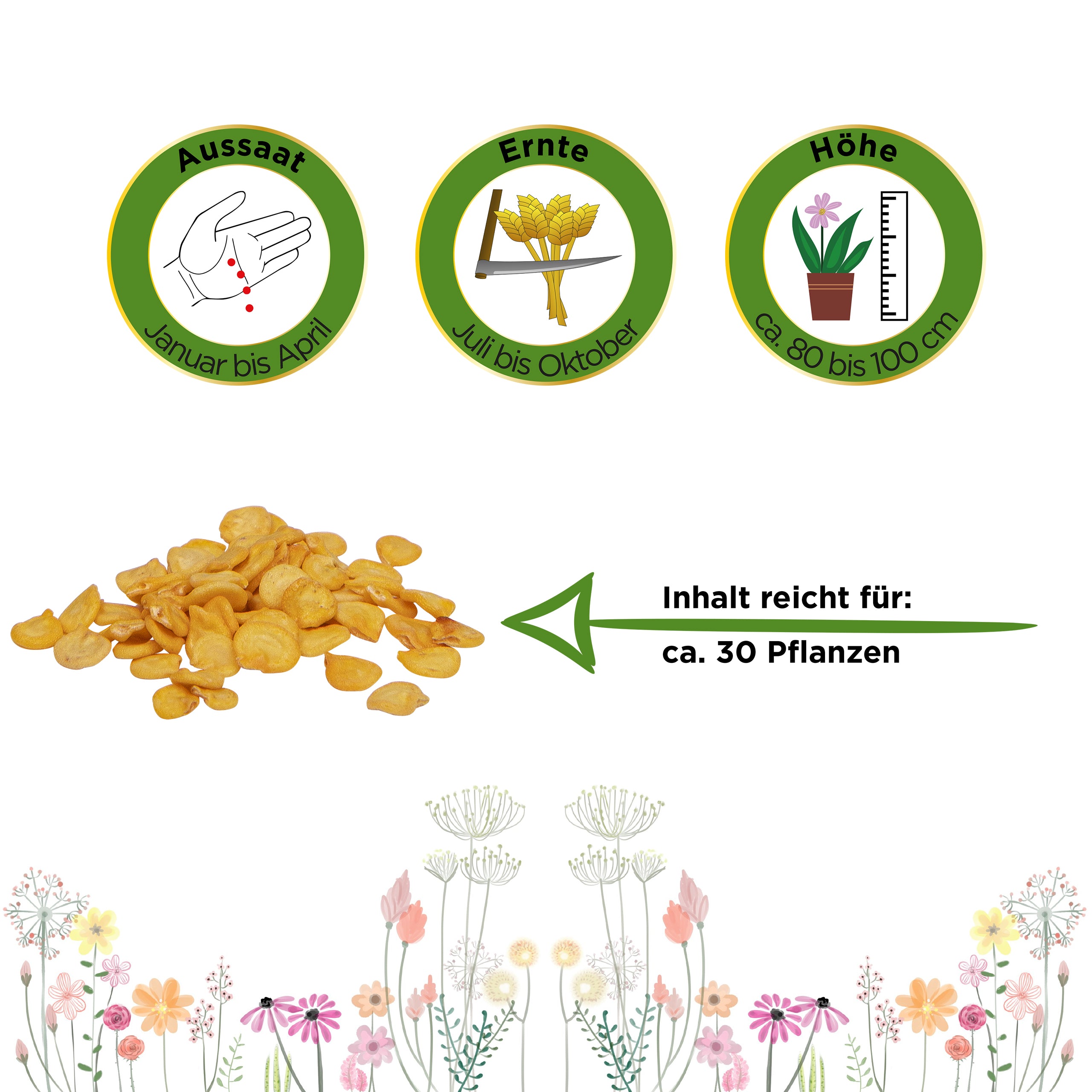 Paprika California Wonder