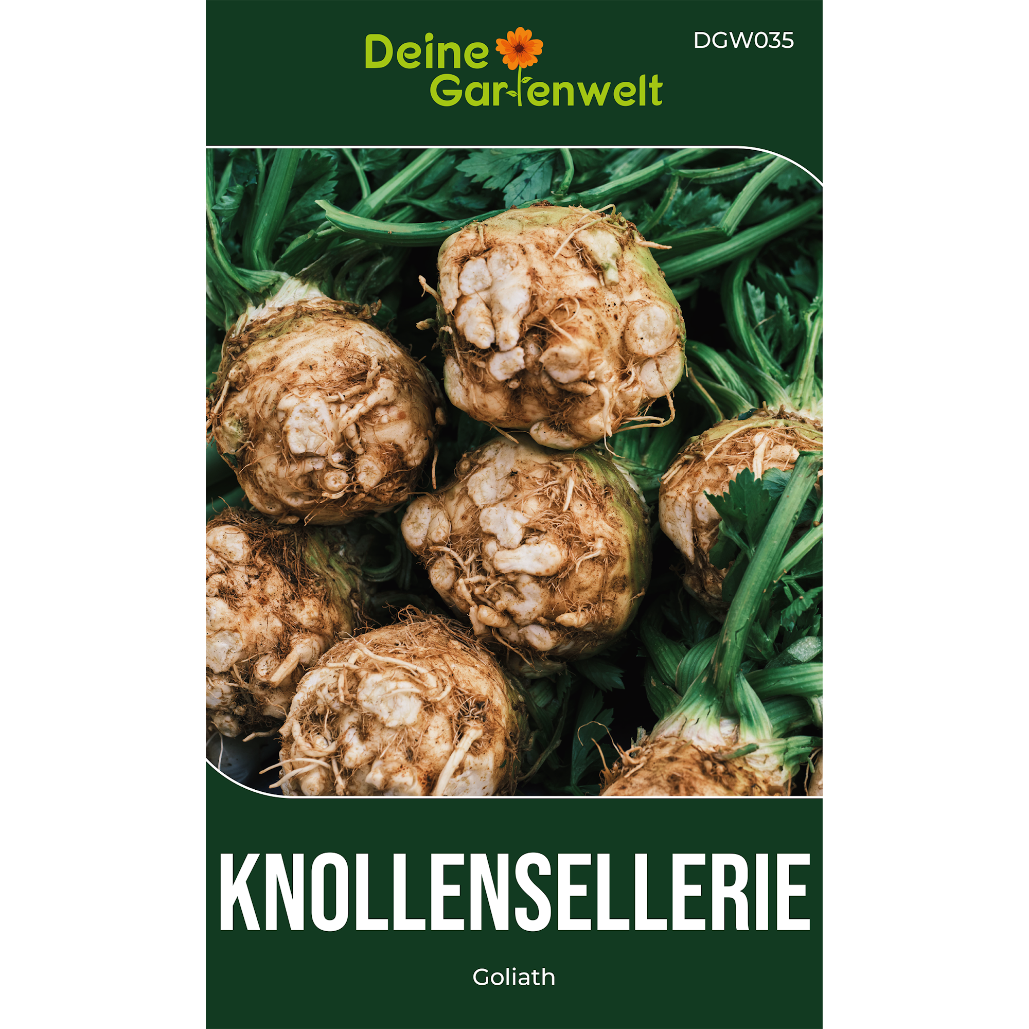 Knollensellerie Goliath