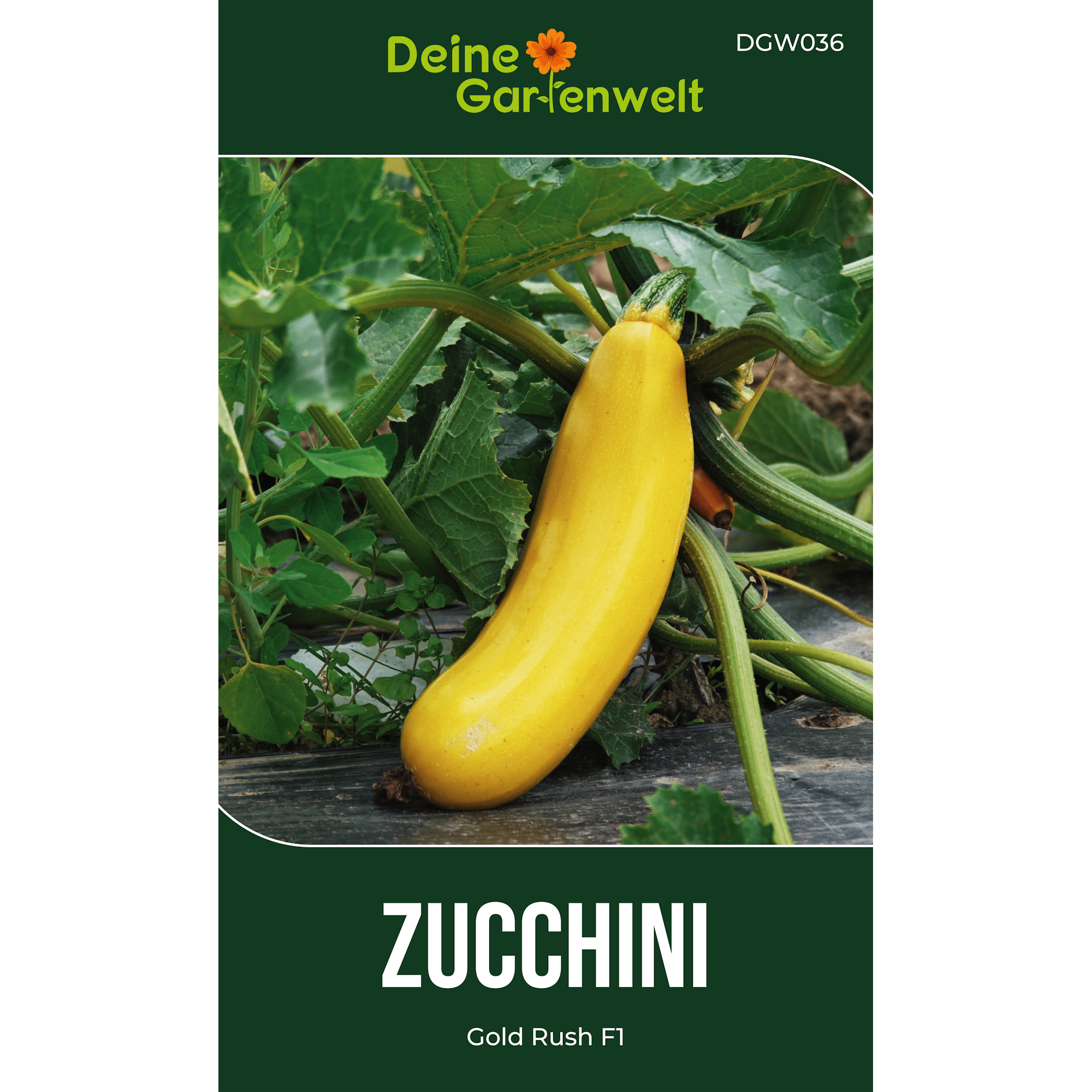 Zucchini Gold Rush F1
