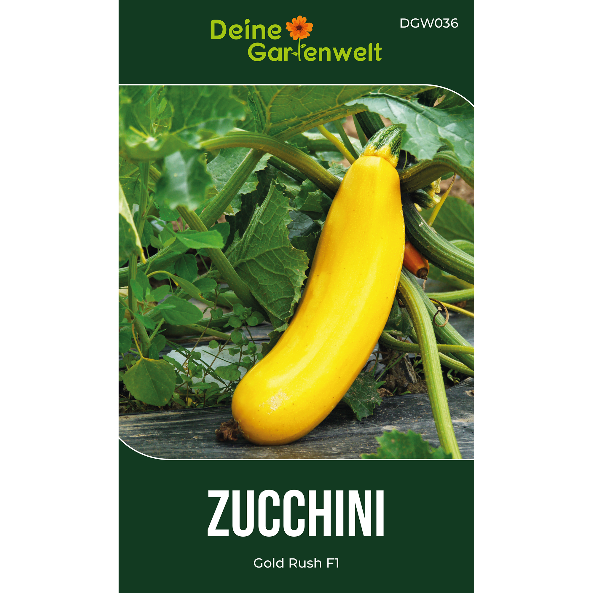 Zucchini Gold Rush F1