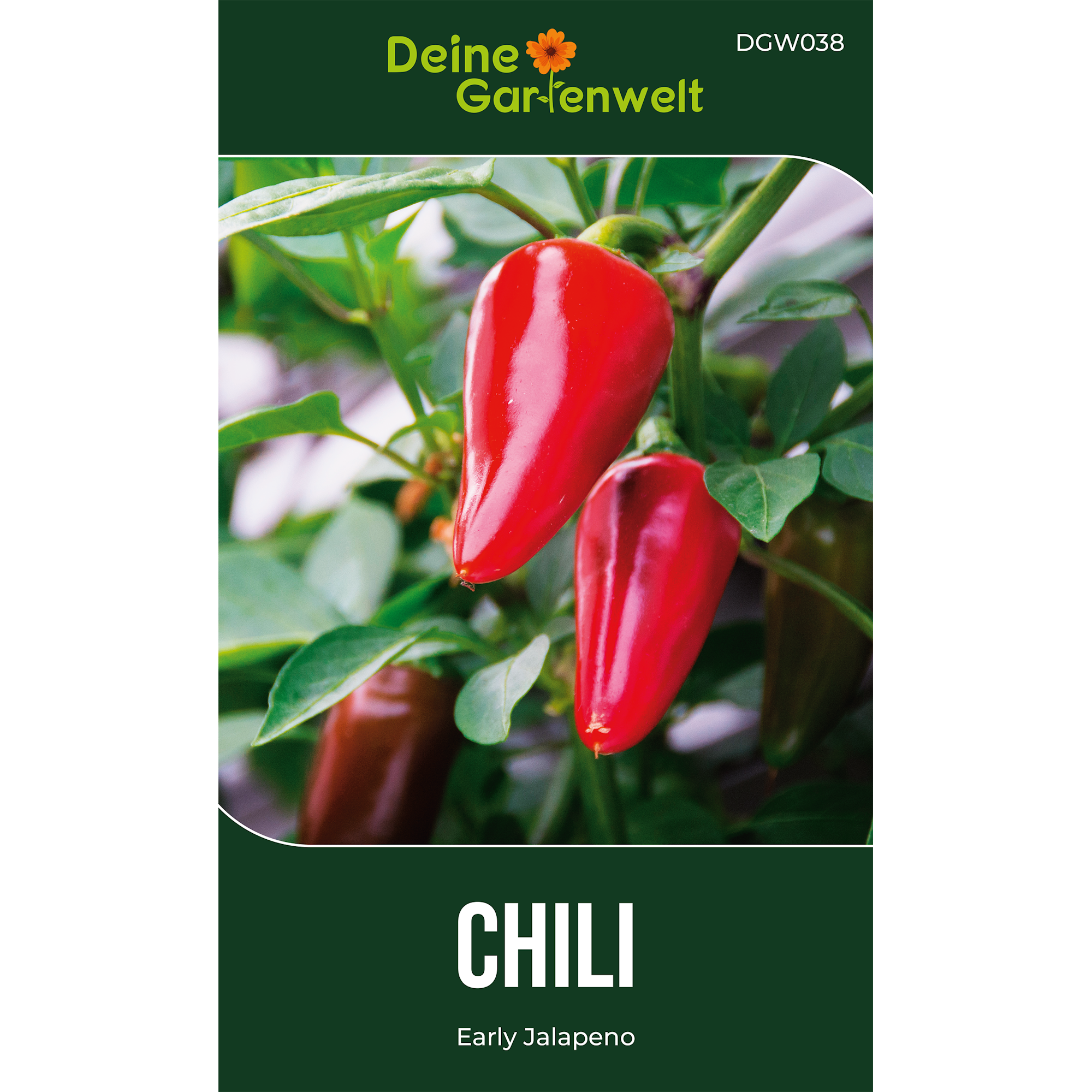 Chili Jalapeno