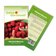 Monatserdbeeren Rügen