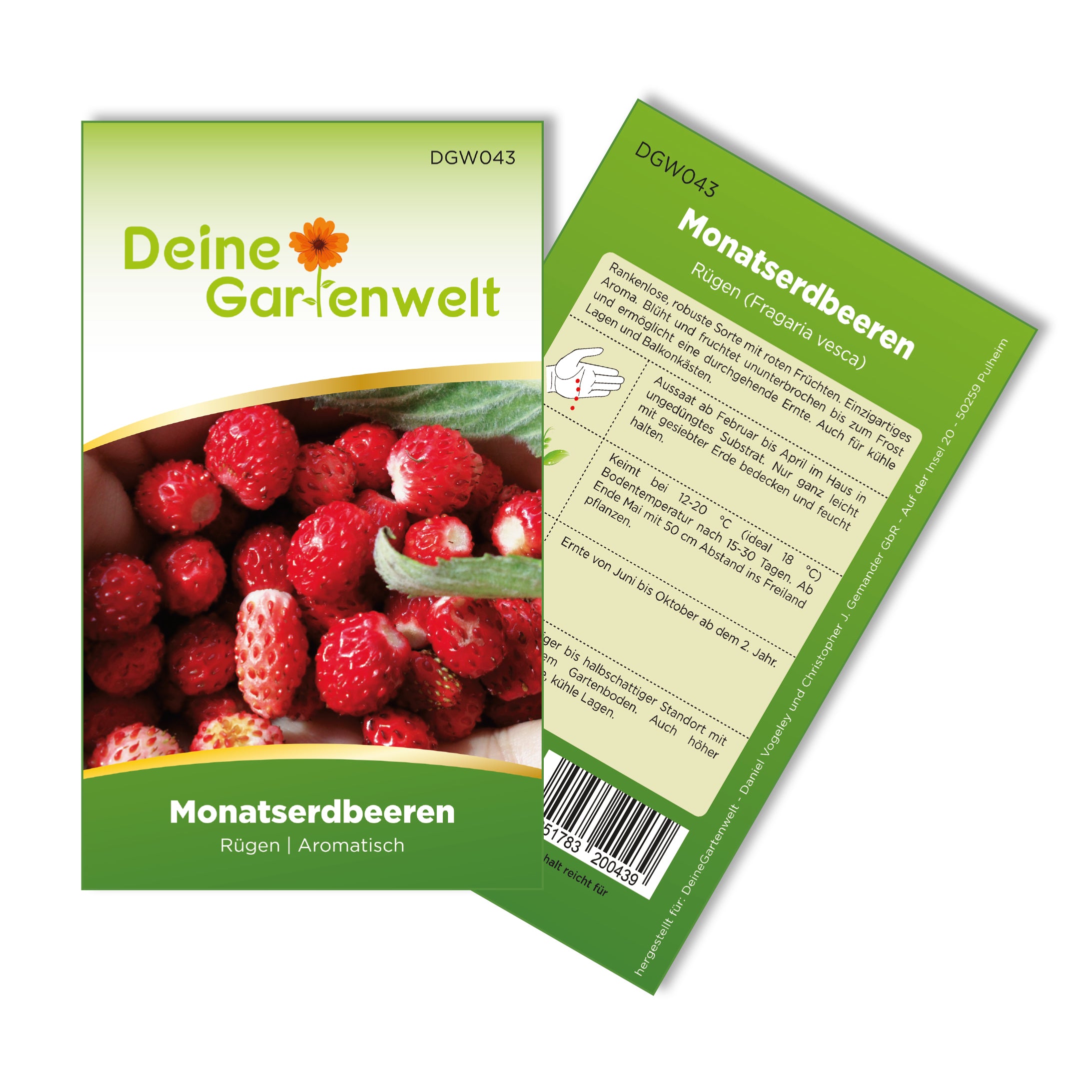 Monatserdbeeren Rügen