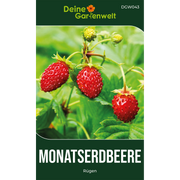 Monatserdbeeren Rügen