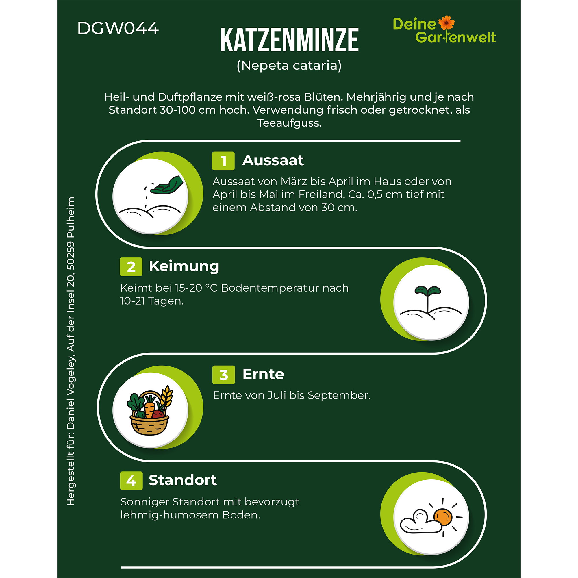 Katzenminze