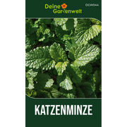Katzenminze