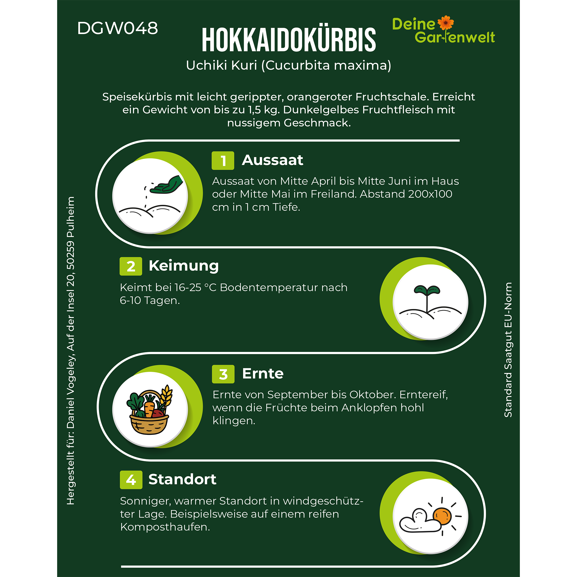 Hokkaido Kürbis Uchiki Kuri
