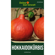 Hokkaido Kürbis Uchiki Kuri