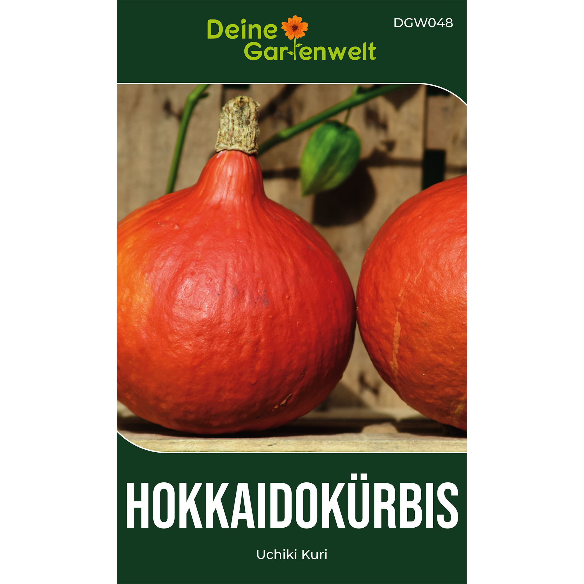 Hokkaido Kürbis Uchiki Kuri