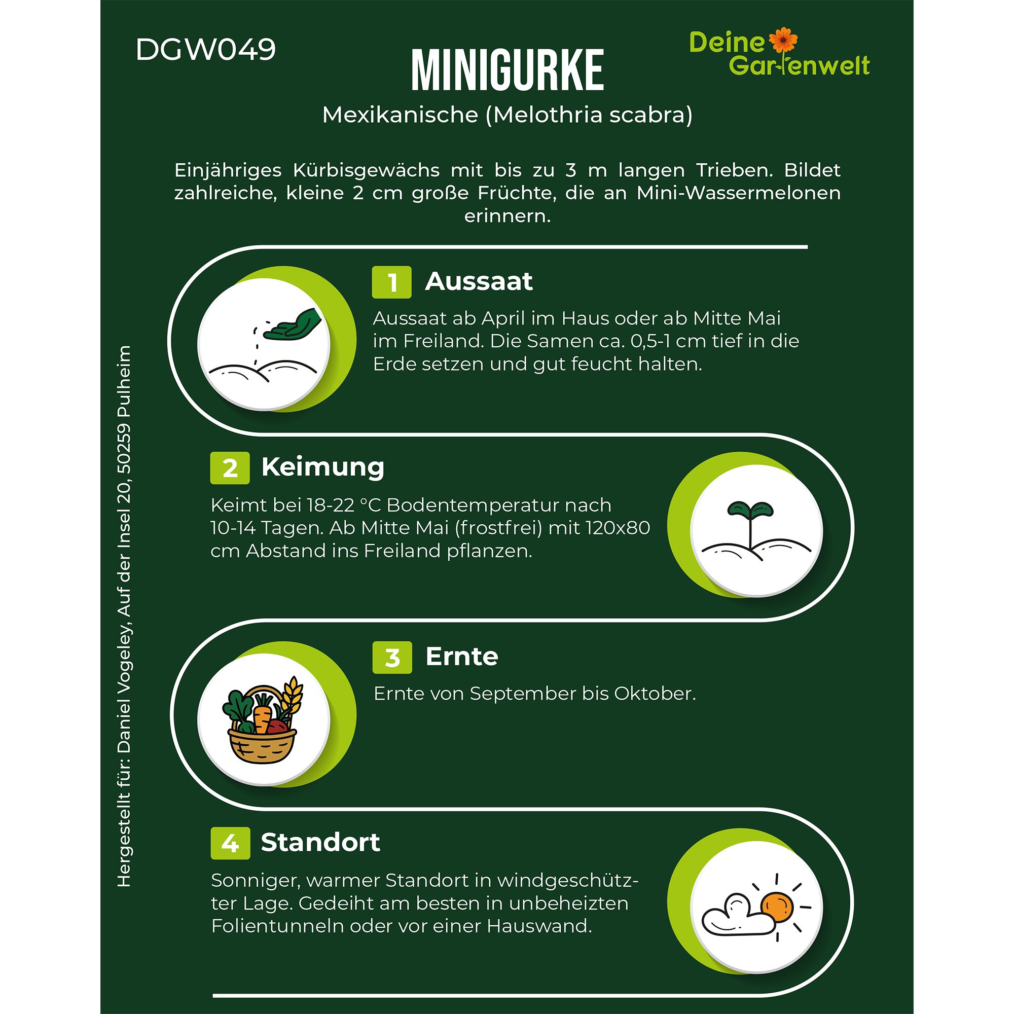 Mexikanische Minigurke