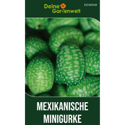 Mexikanische Minigurke