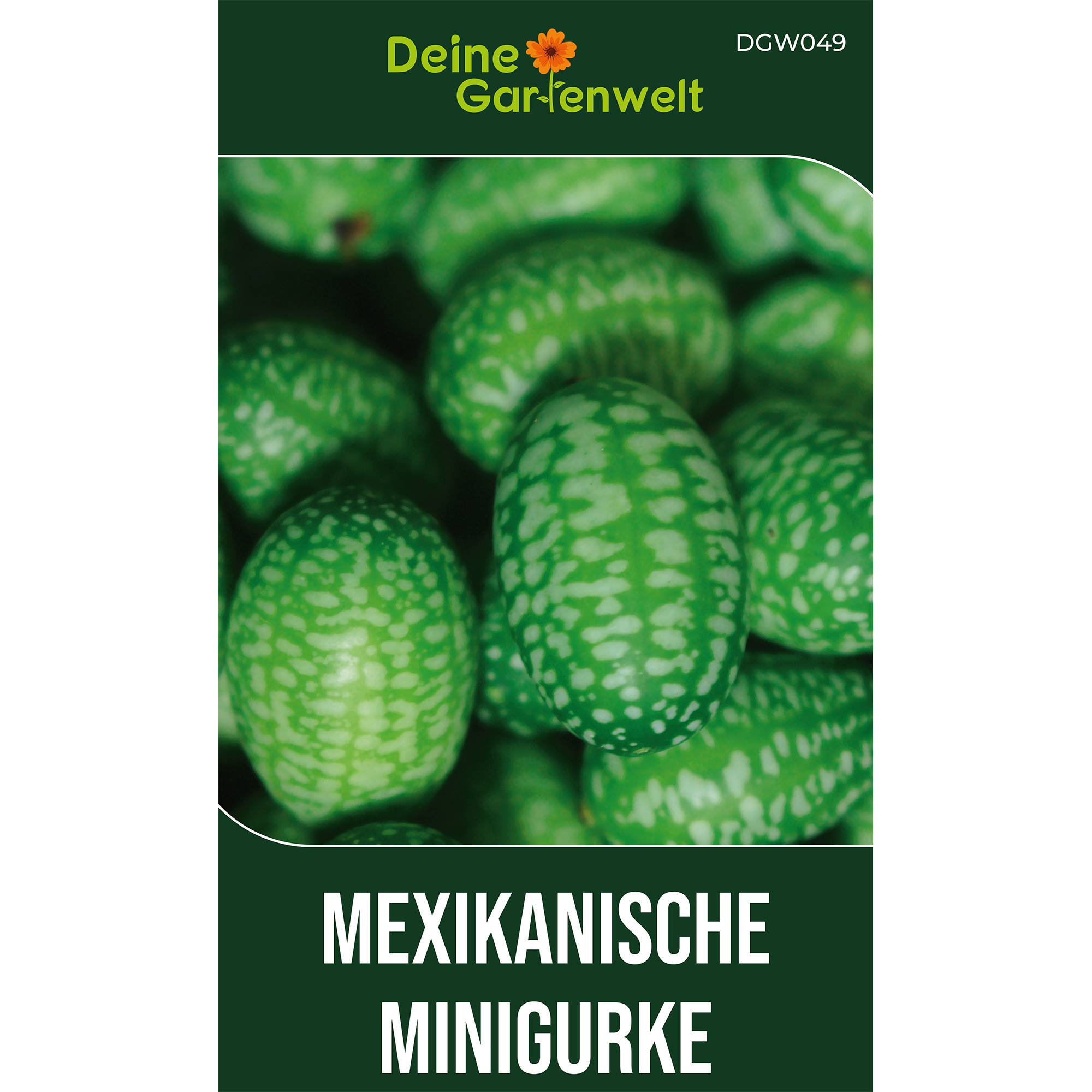 Mexikanische Minigurke