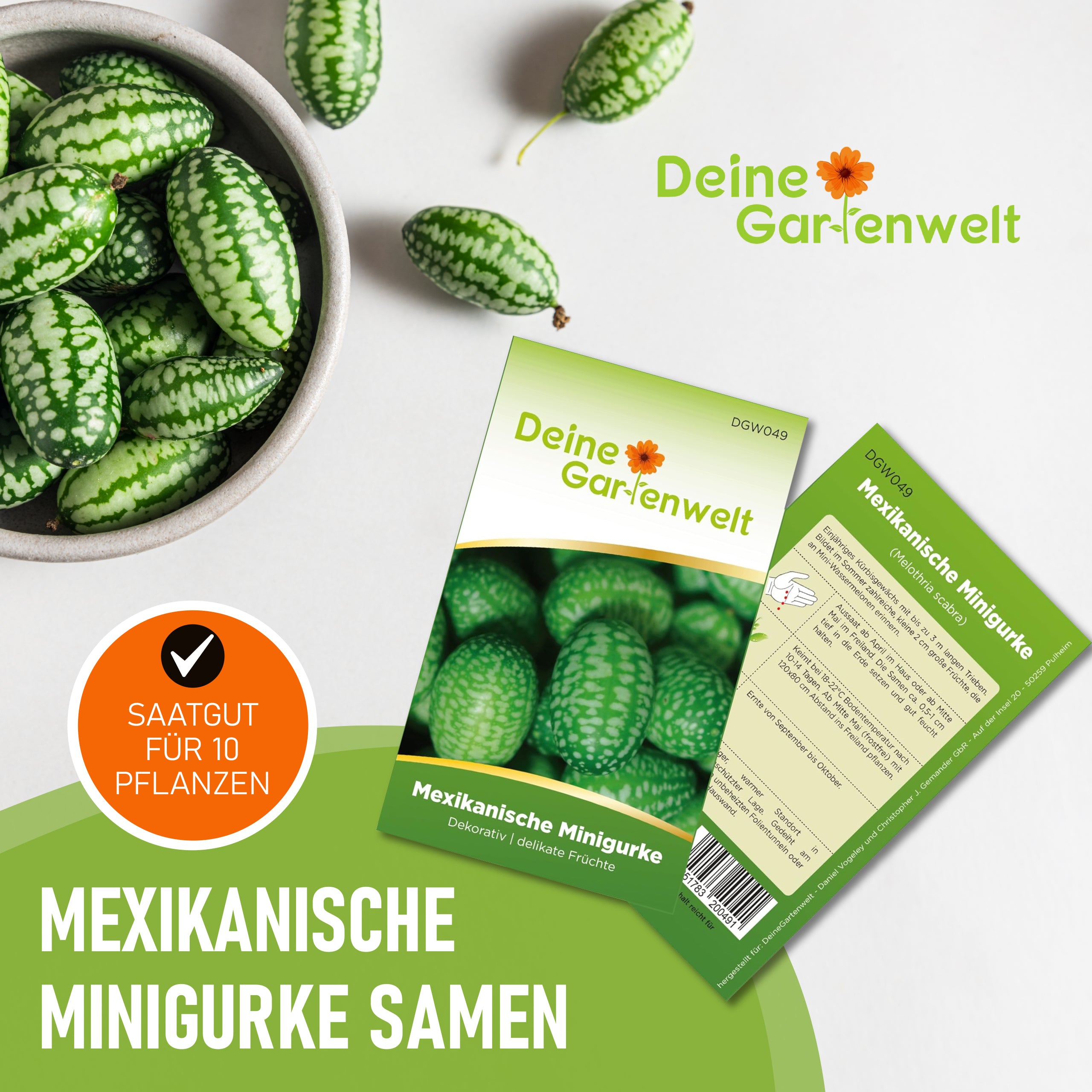 Mexikanische Minigurke