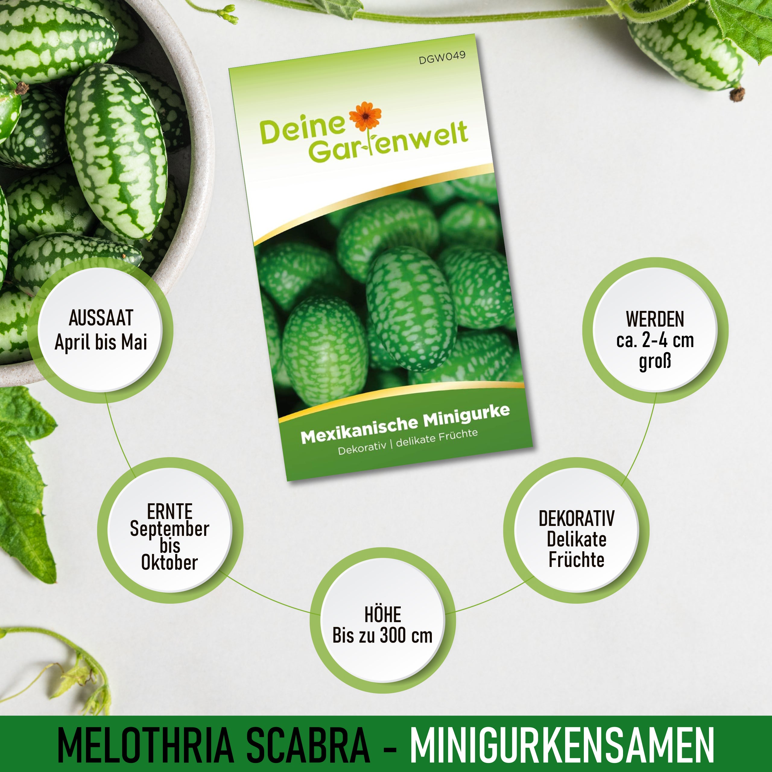 Mexikanische Minigurke