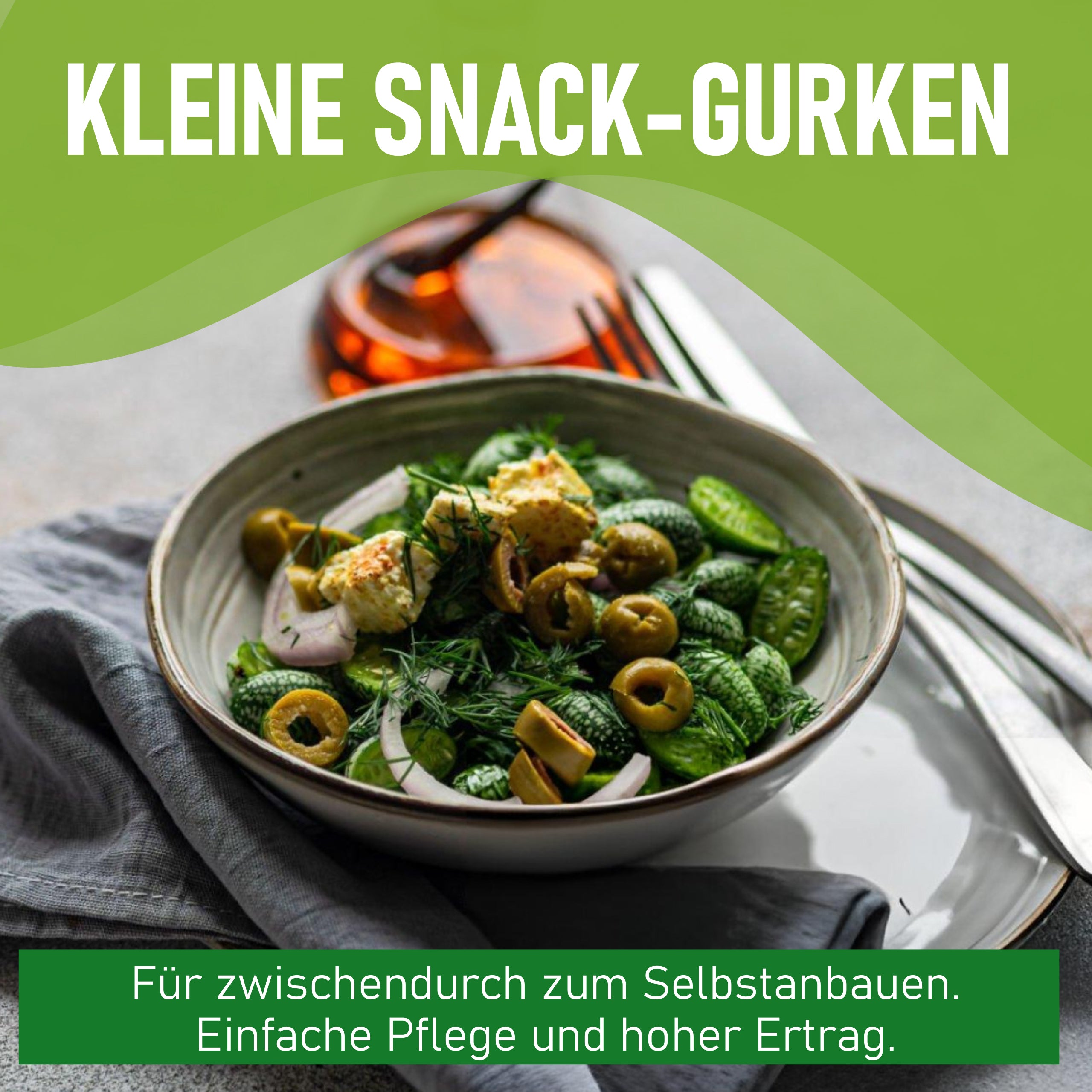 Mexikanische Minigurke