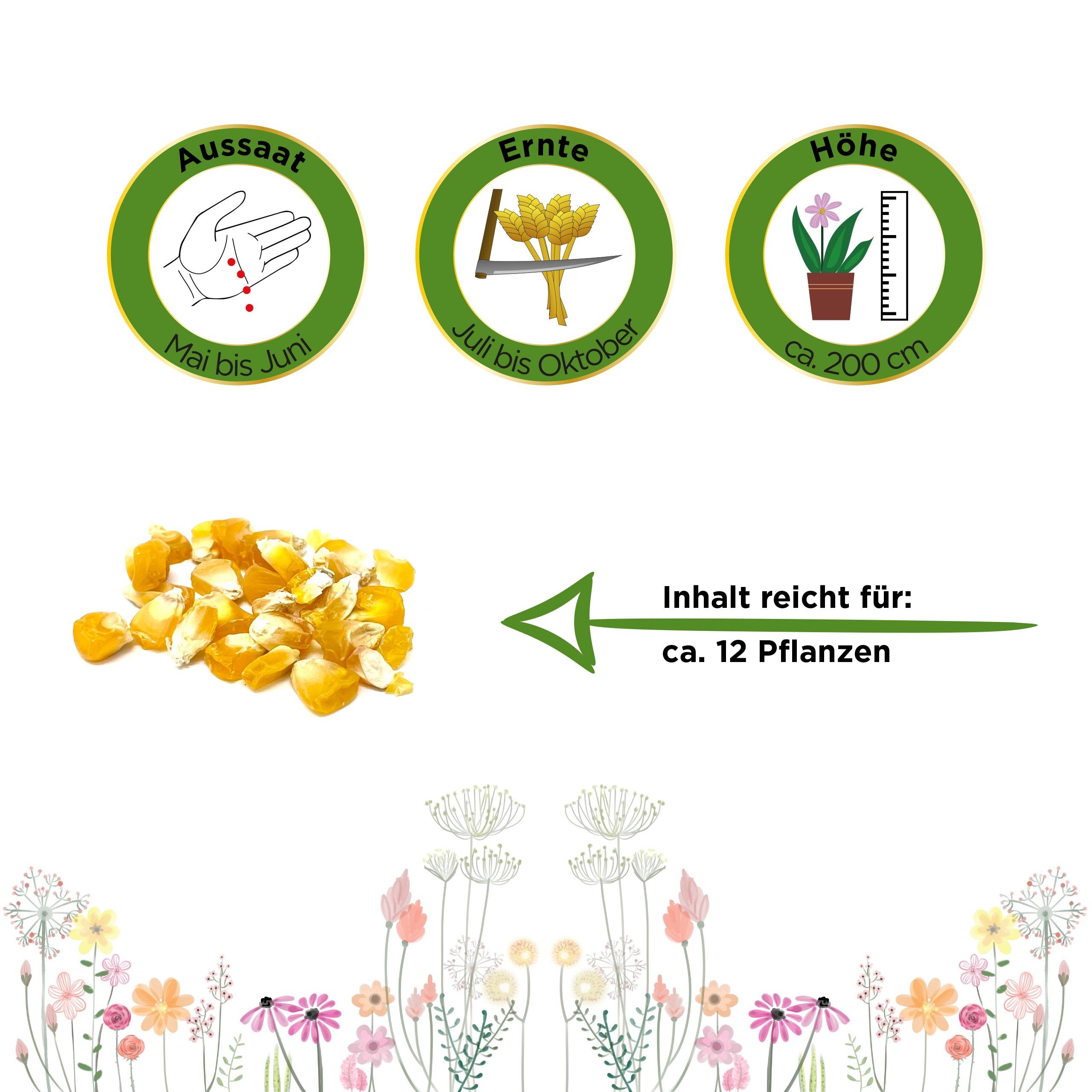 Zuckermais Golden Bantam