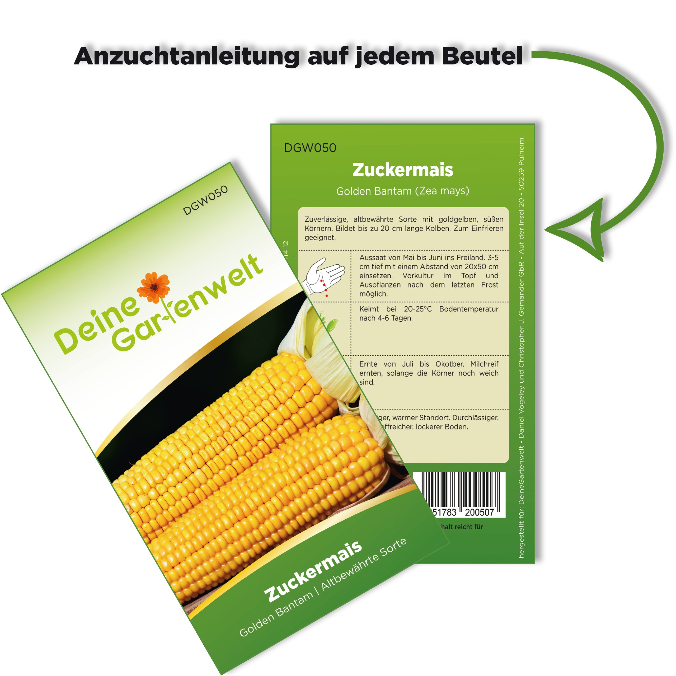 Zuckermais Golden Bantam