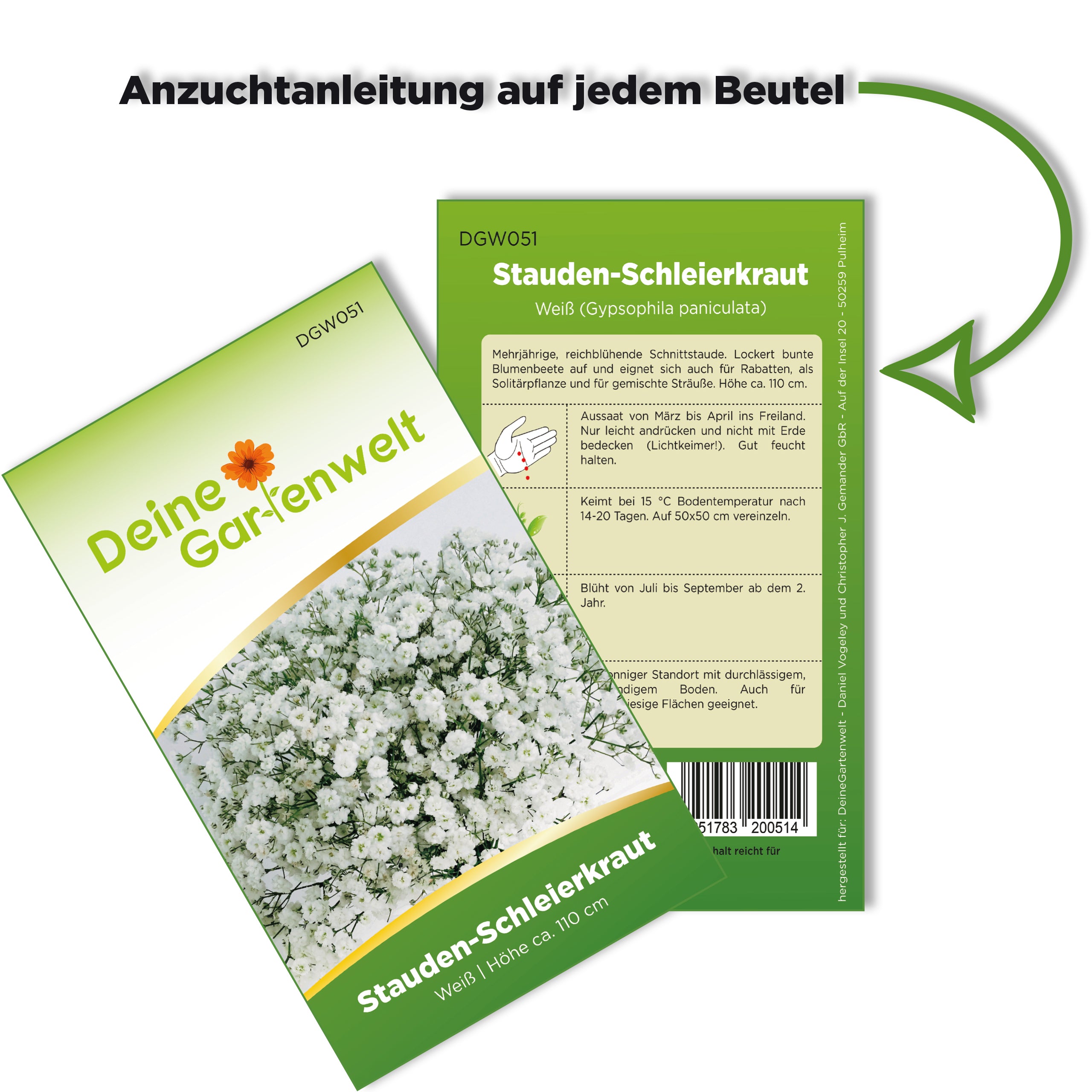 Stauden-Schleierkraut weiß