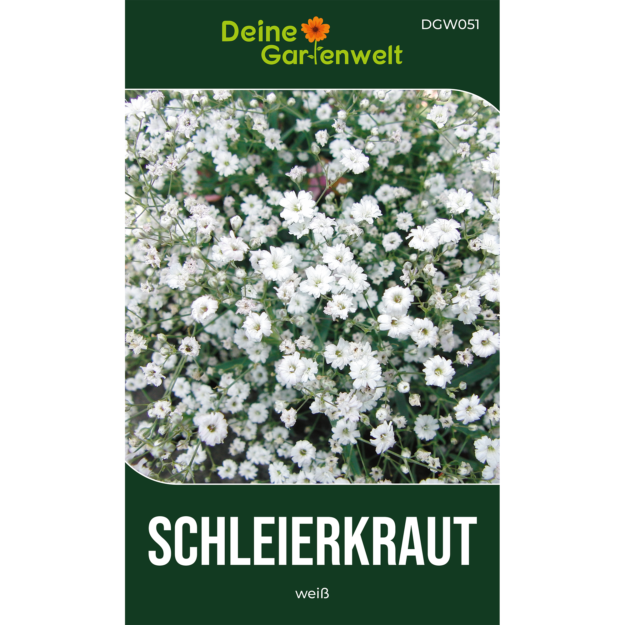 Stauden-Schleierkraut weiß