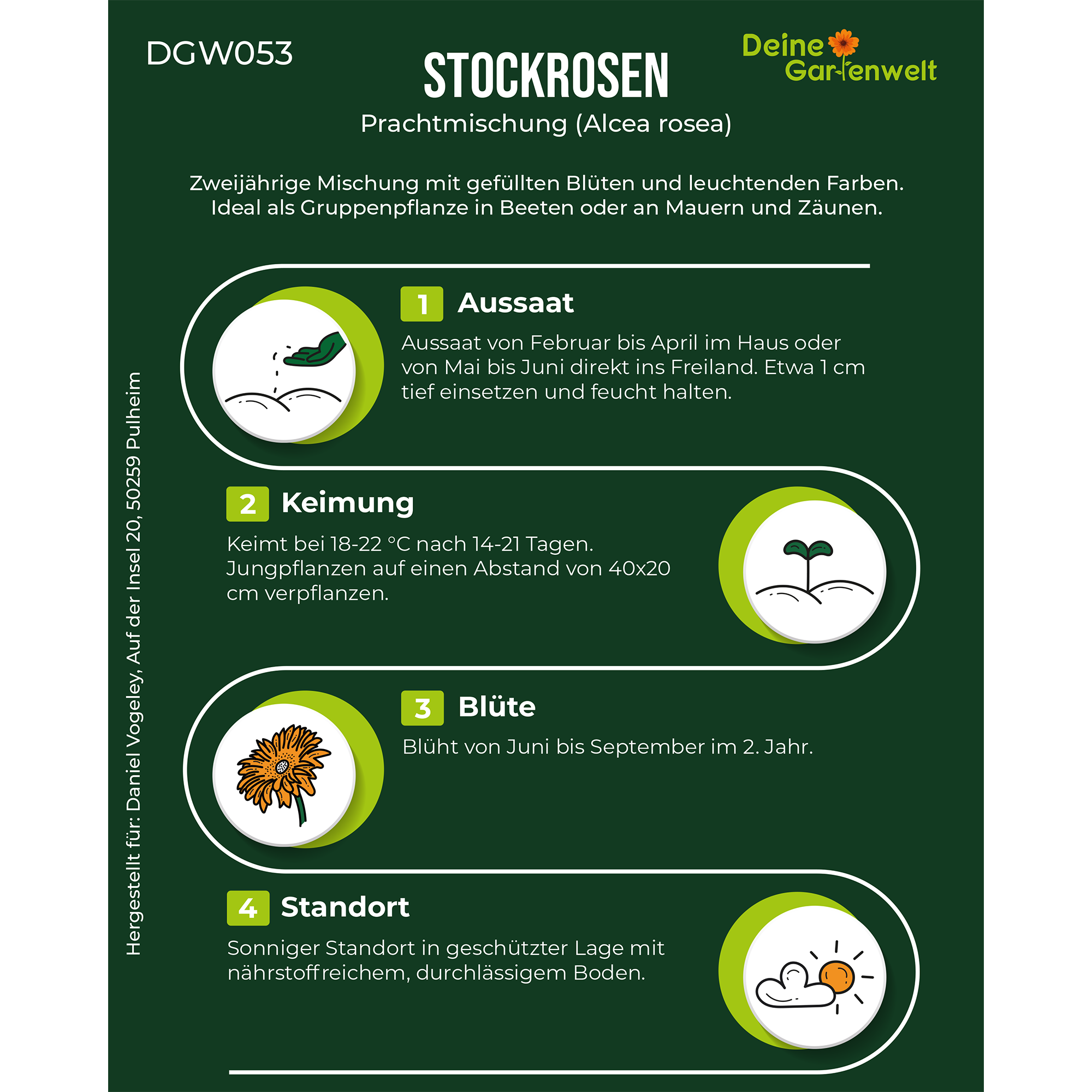 Stockrosen Prachtmischung