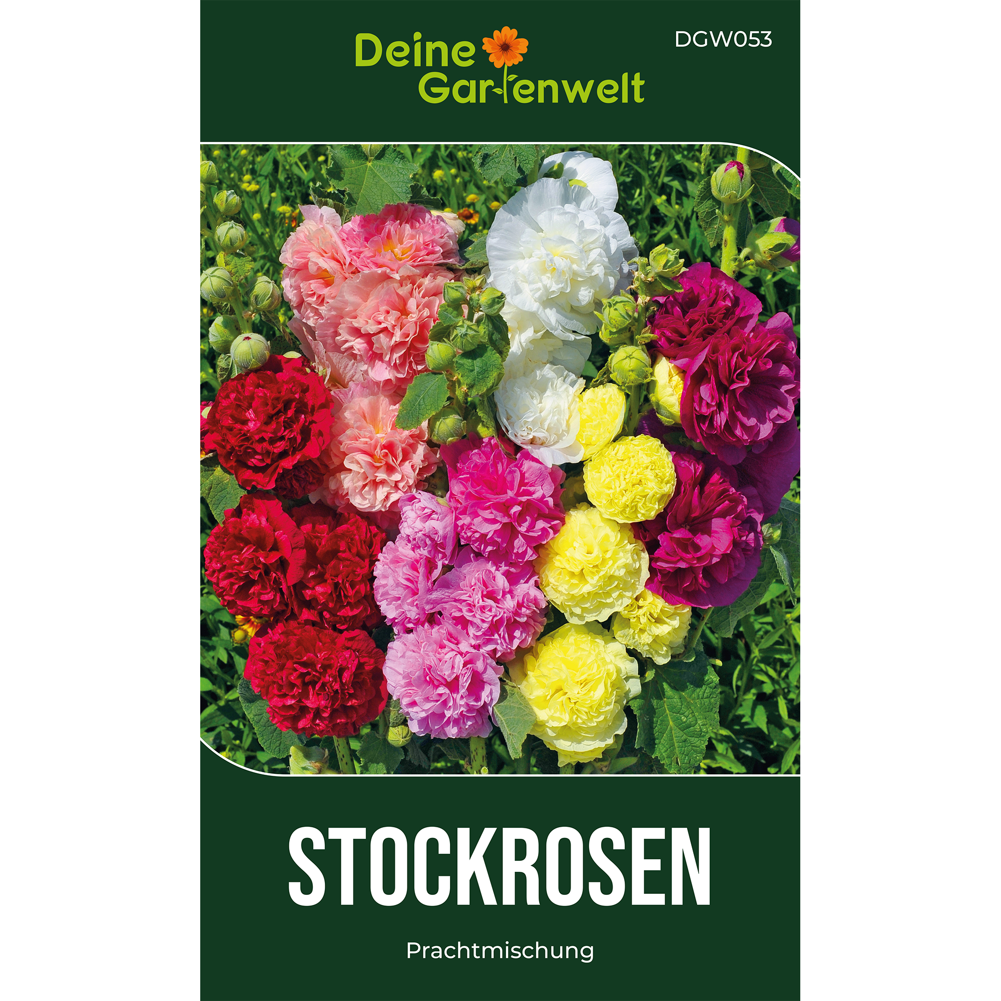 Stockrosen Prachtmischung