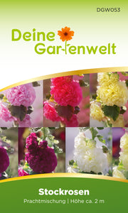 Stockrosen Prachtmischung