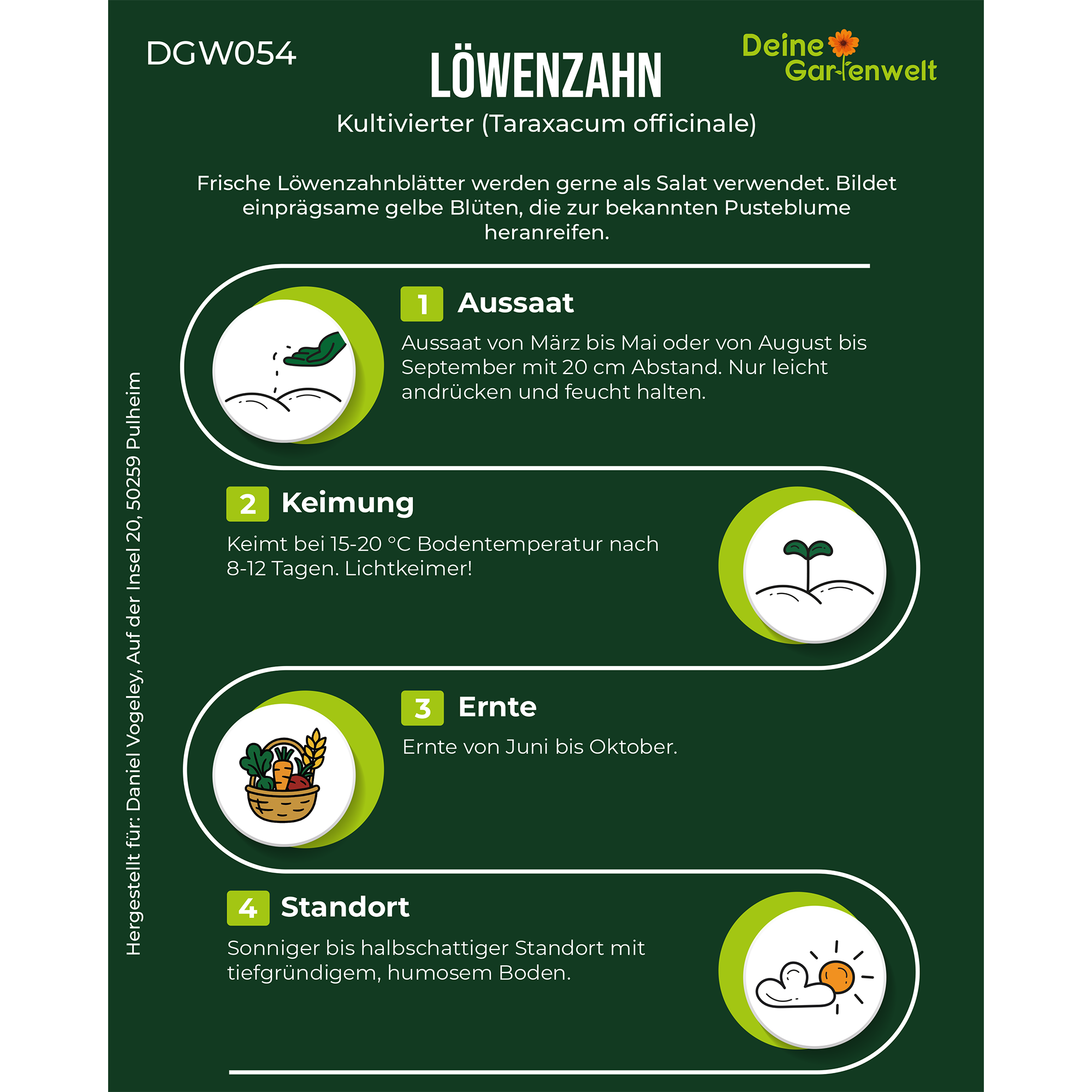 Löwenzahn Kultivierter